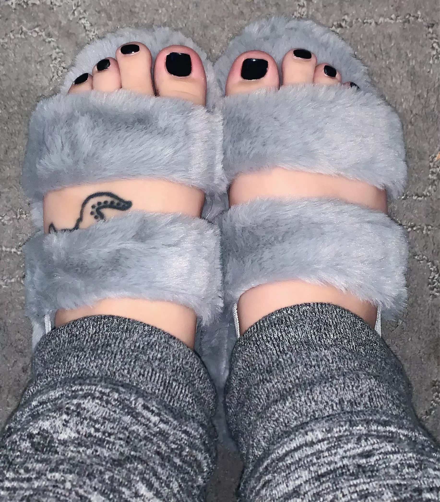 Come lick my toes one at a time 👅 posted by Caitlinalyssam