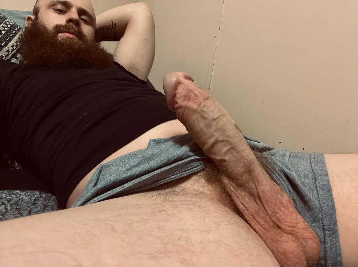 Come play with my cock and balls? 🥺🥺 posted by blueballs214