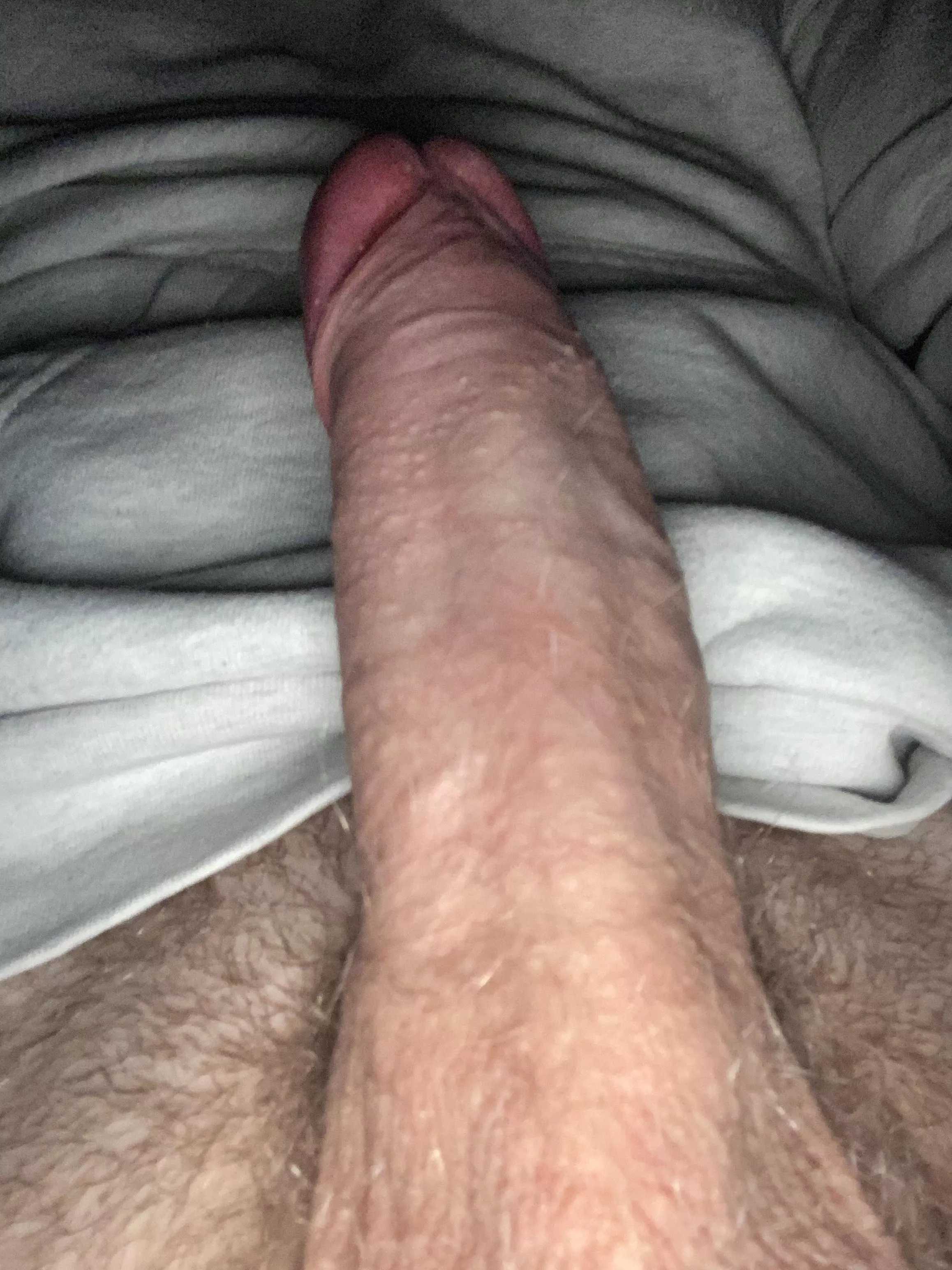 Come play with my huge dick posted by -BigChungus-