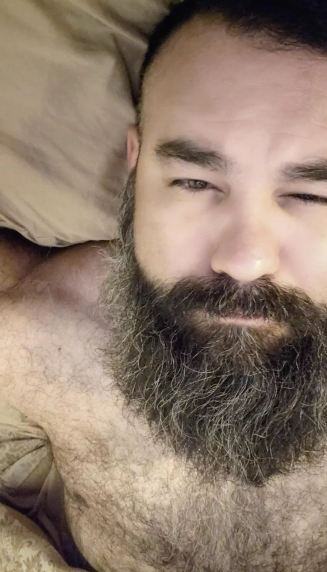 Come snuggle? posted by beardguy505