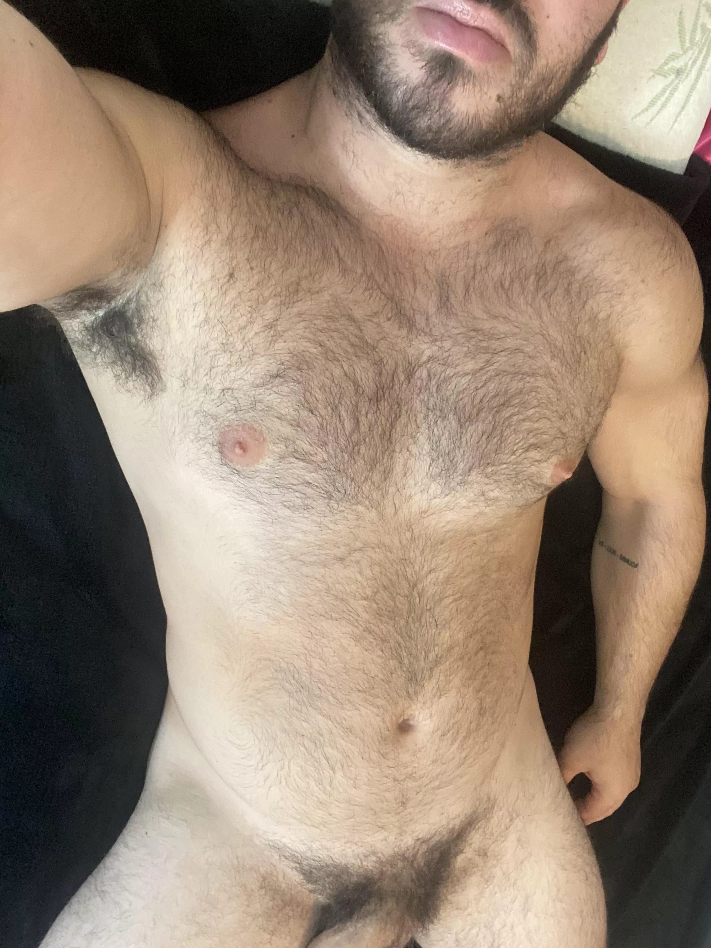 Come suck my dick now posted by fitdaddydreams