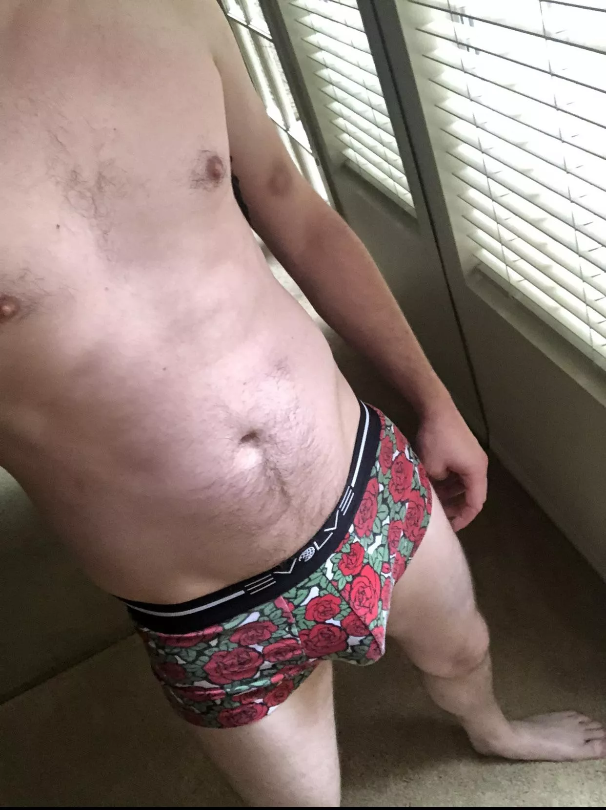 Comfy Evolve briefs posted by -DrCaligari-