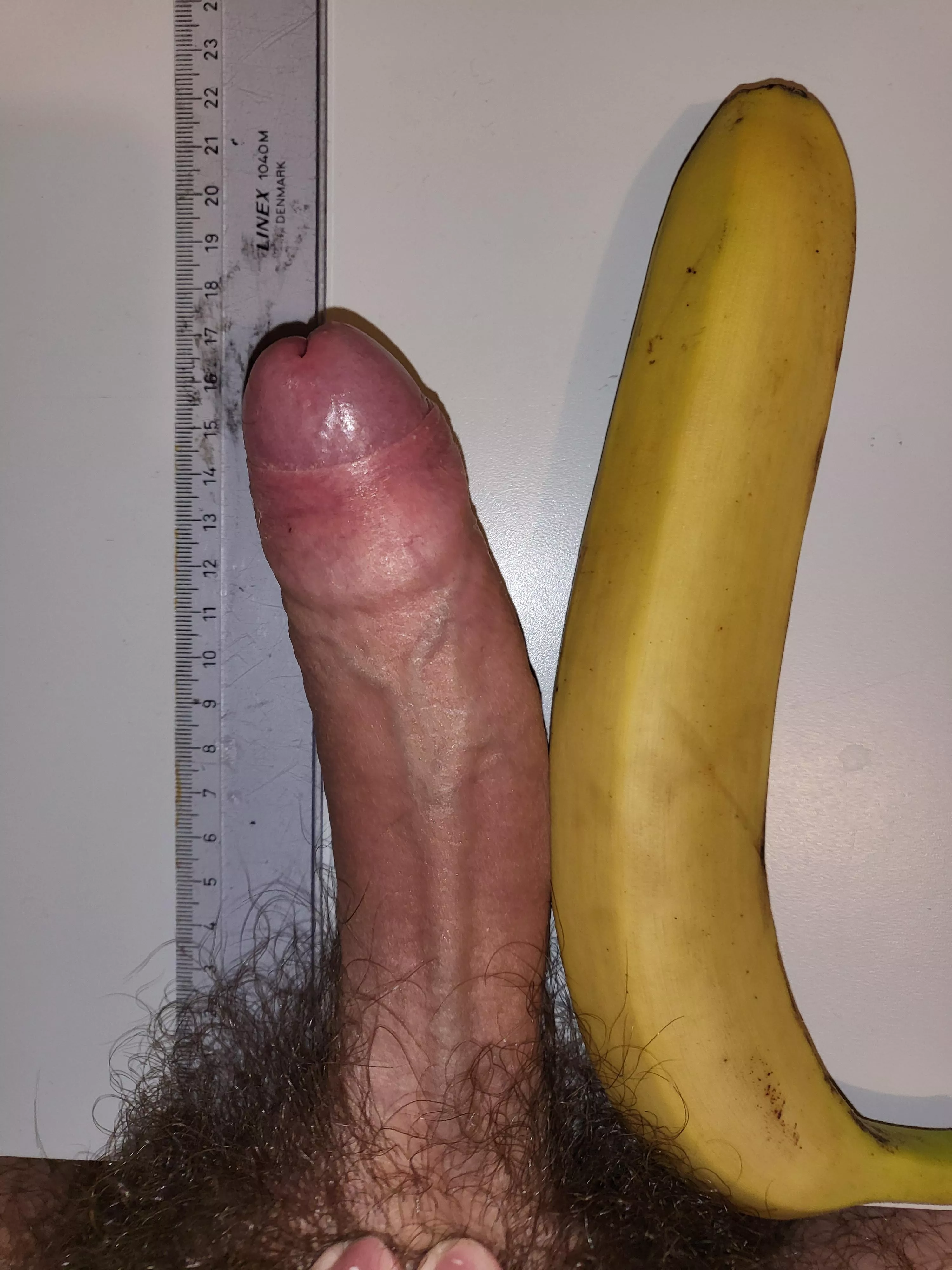 Comparing with this giant banana I found. DM to compare! posted by WillyInMyPants