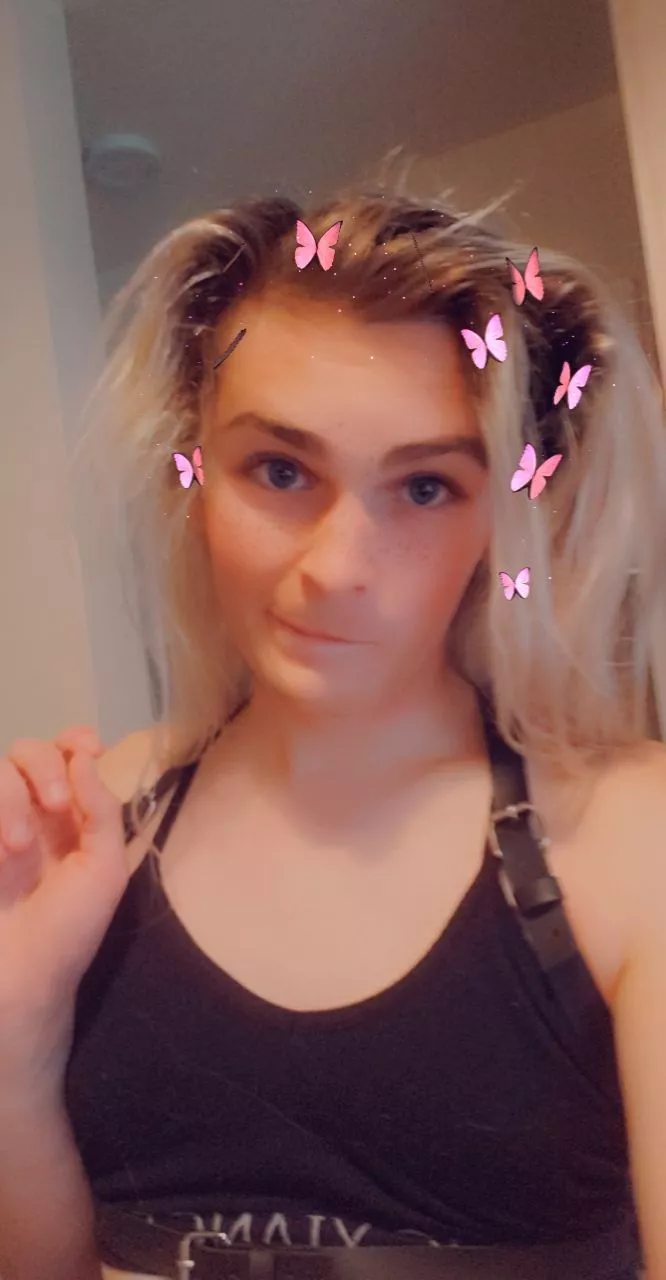 Could I be your gf? posted by Amycakes6