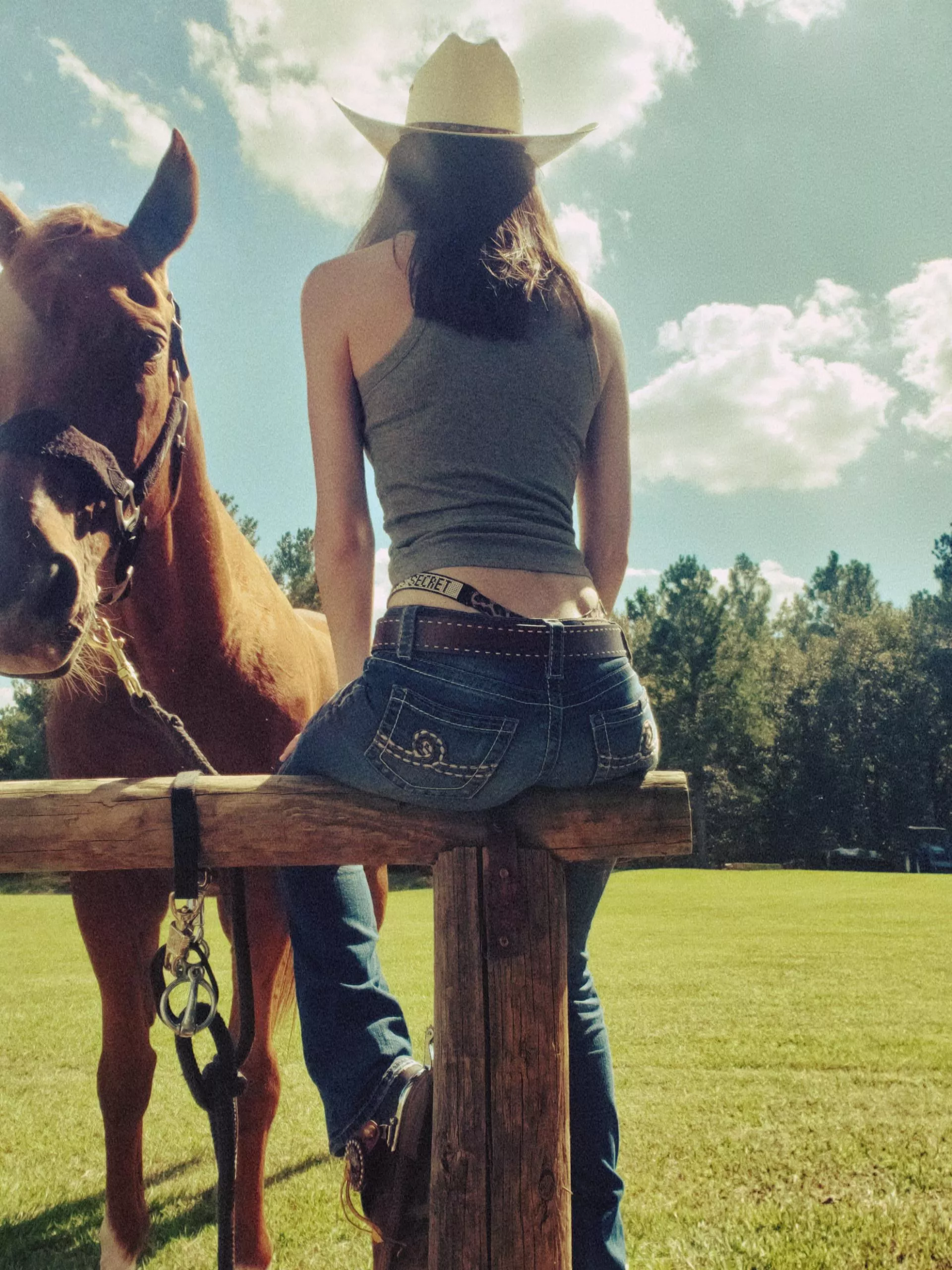 Cowgirl view posted by Nattykatty69