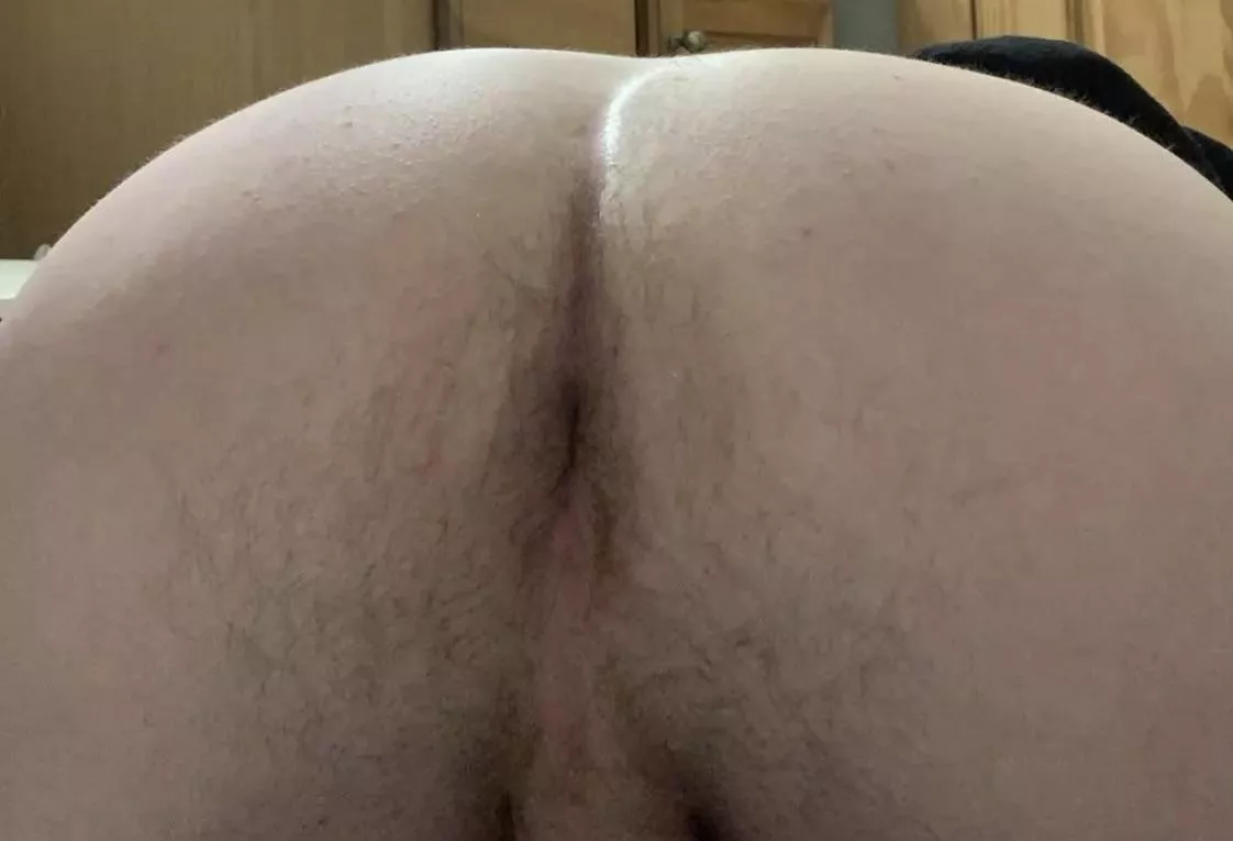 Curious if youâ€™d eat my ass posted by Consistent_Long5159