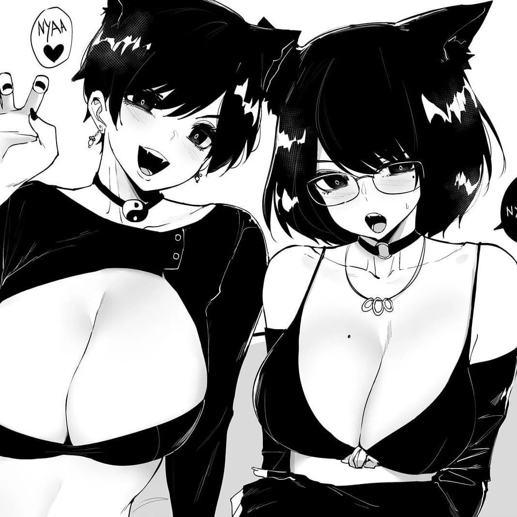 Cute kitties posted by rashpandora2001