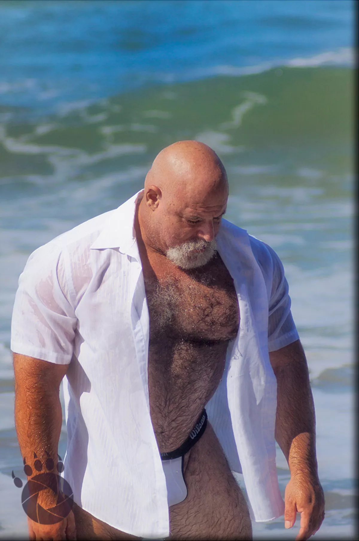 Daddy bear Phil Ruben posted by SevenNSFW