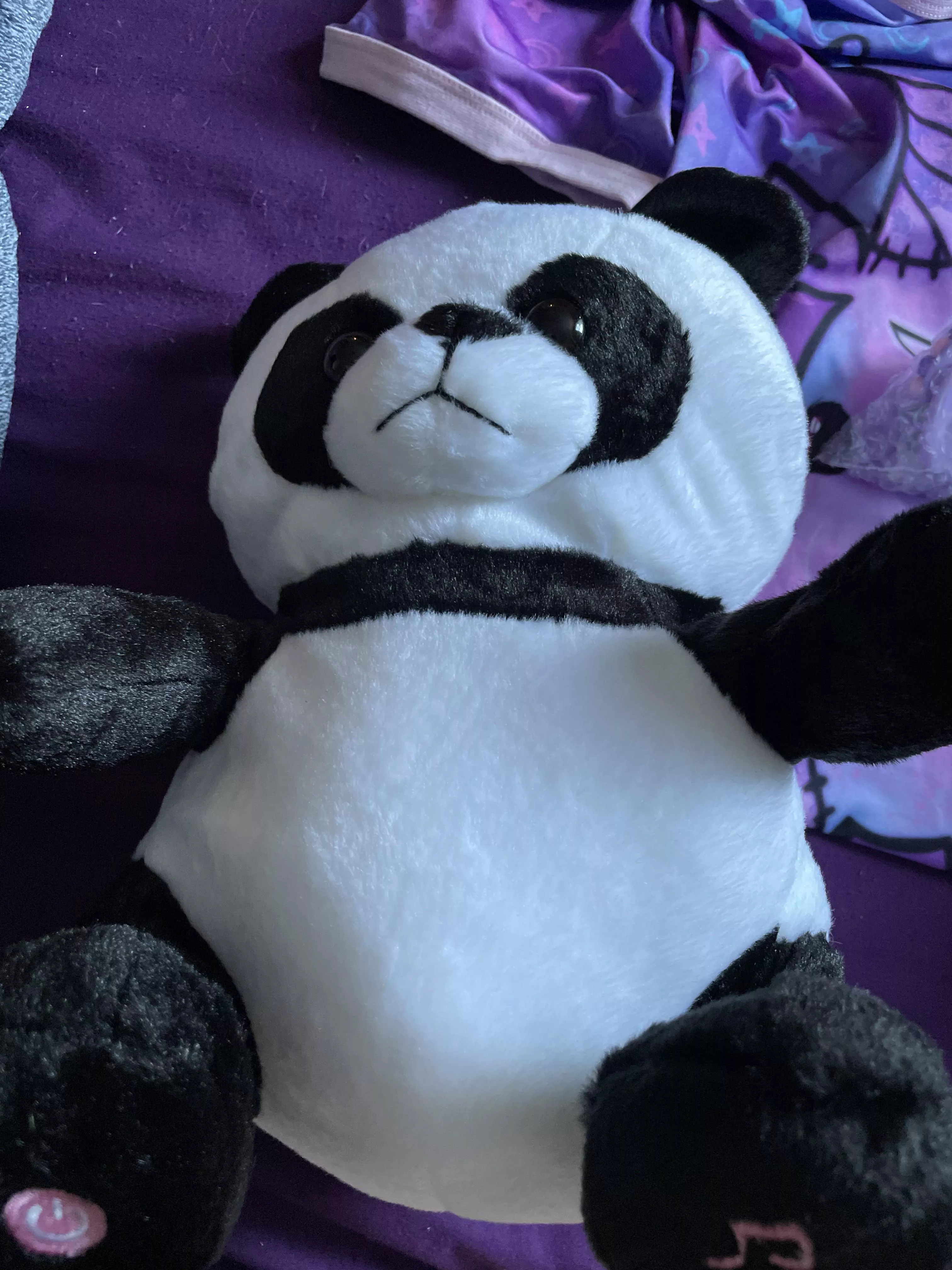 Daddy sent me a stuffie, it lights up and sings posted by Tiny_Baka