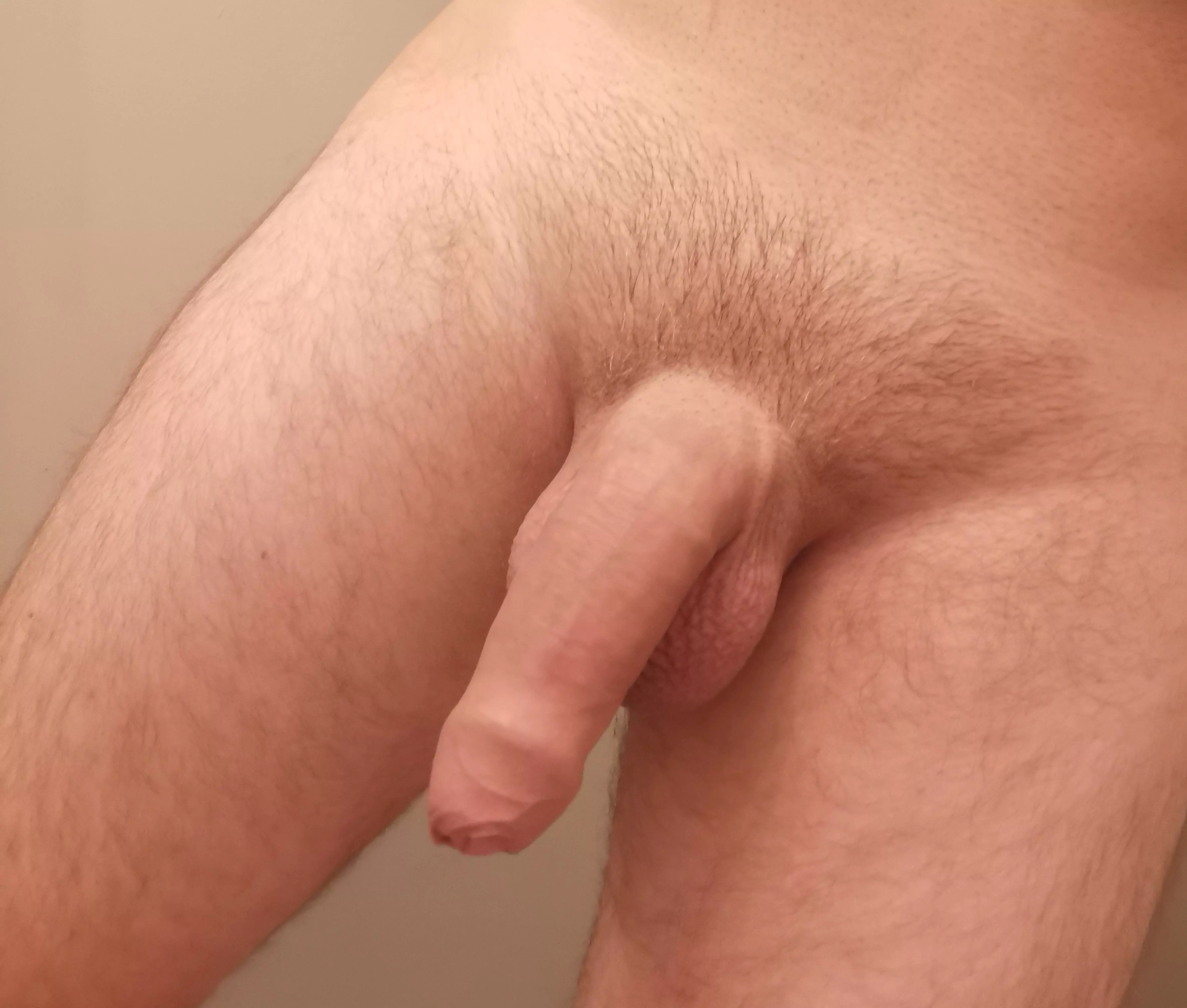 Dads uncut groomed cock posted by packagepics