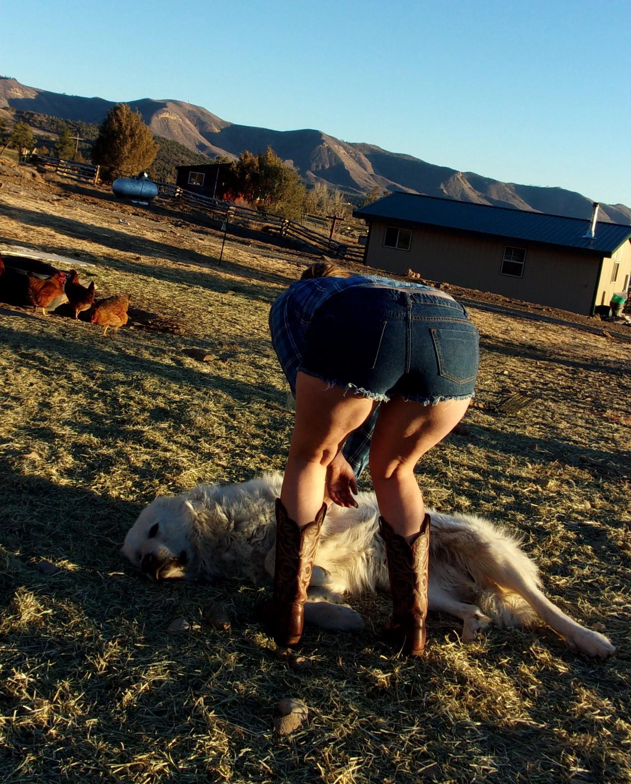 Daisy Dukes or nah? posted by TheNakedEquestrian