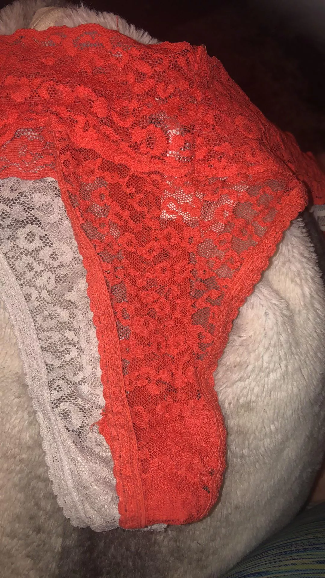 Daughters panties posted by Hornyhubby2409