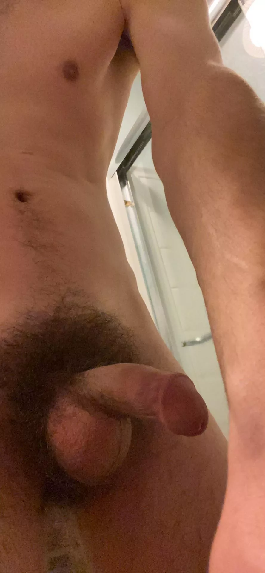 Debating whether or not to trim the bush down. What do you all think? Anyways here’s my hairy cock for a Thursday! posted by thomsbrief