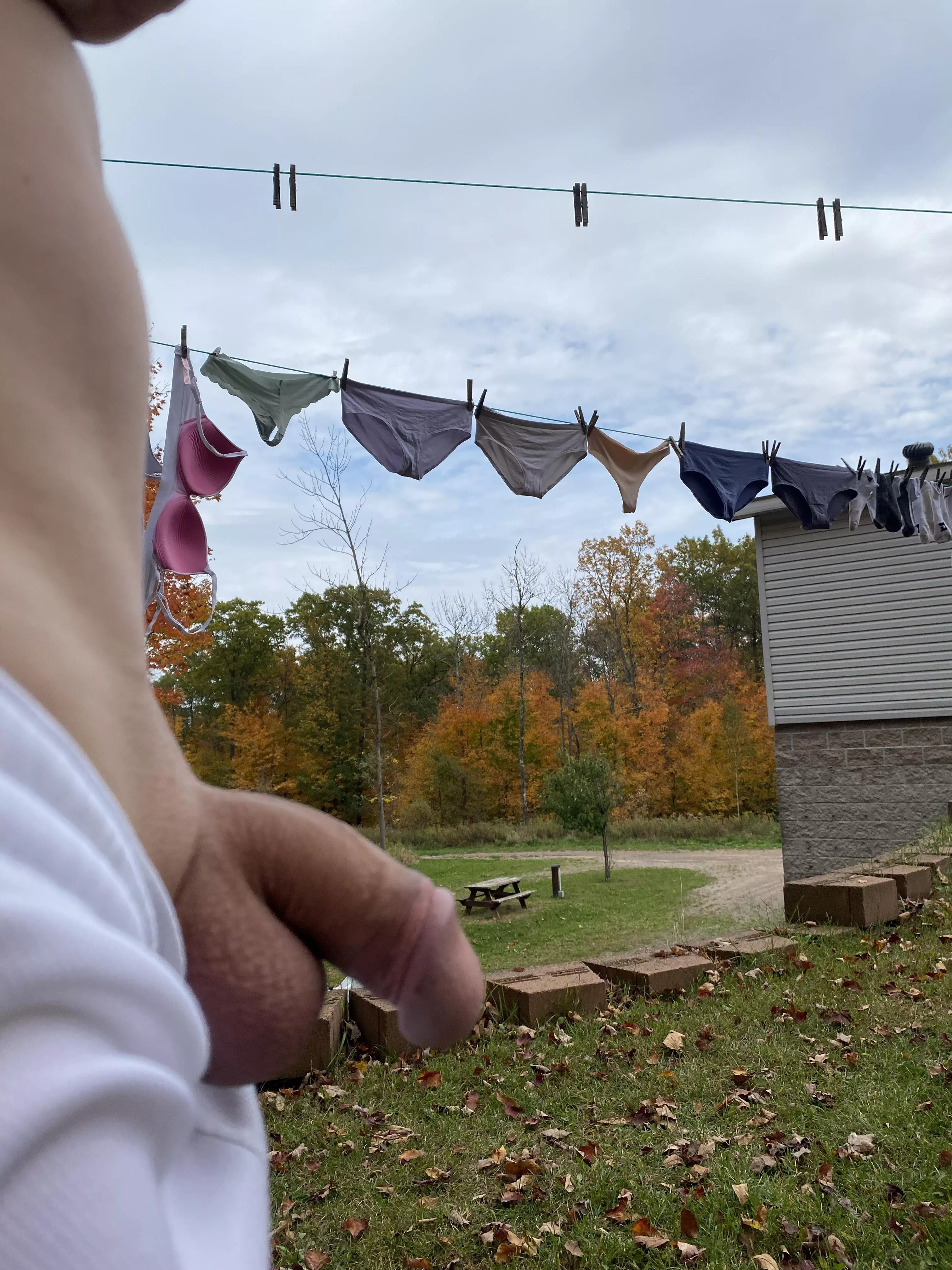 Did I hang (m)y wife’s laundry right? posted by wisconsin91