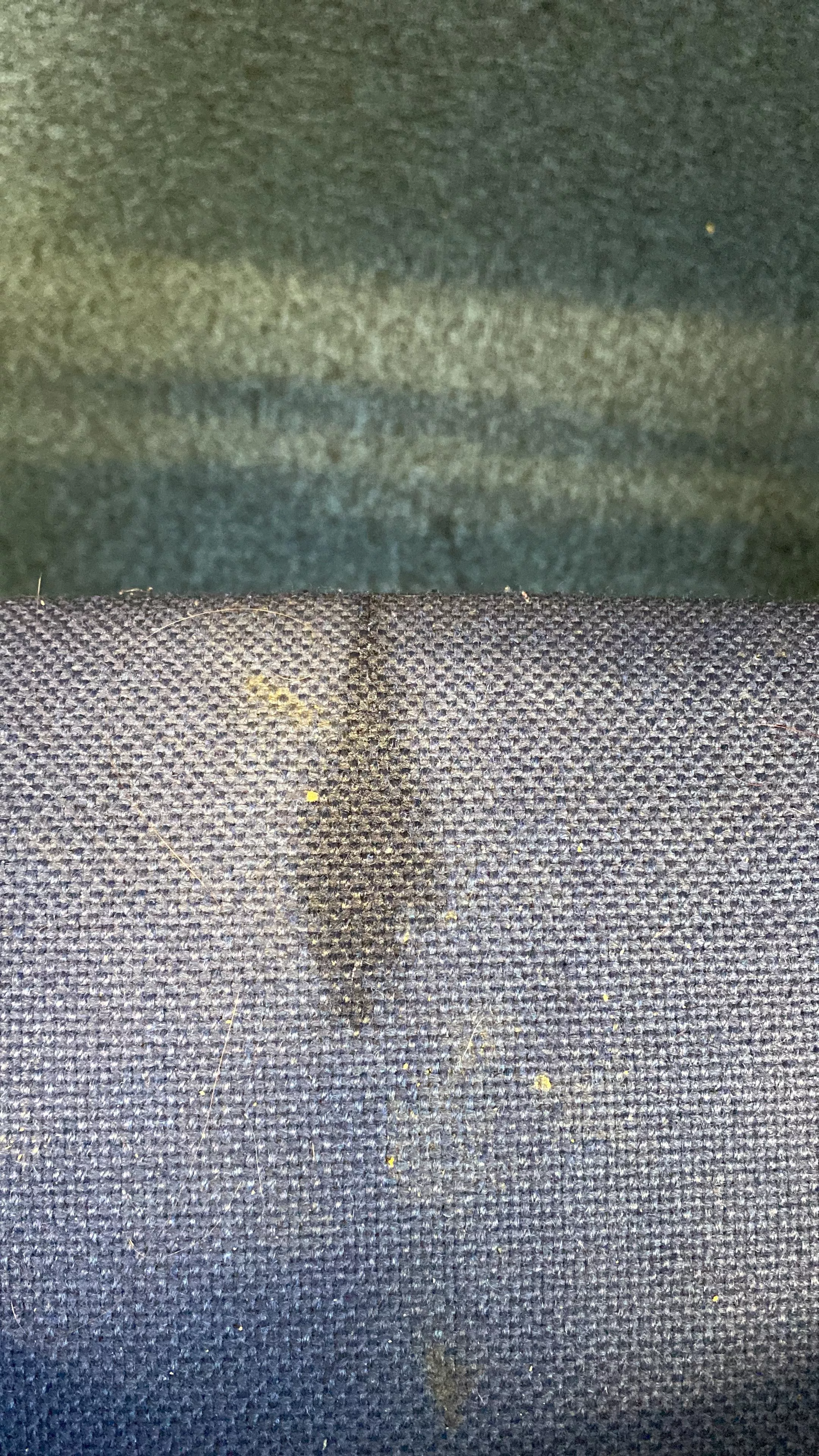 Dirty slag pissed on the office chair. Some went on the floor. Hahahaha. posted by pp_babe