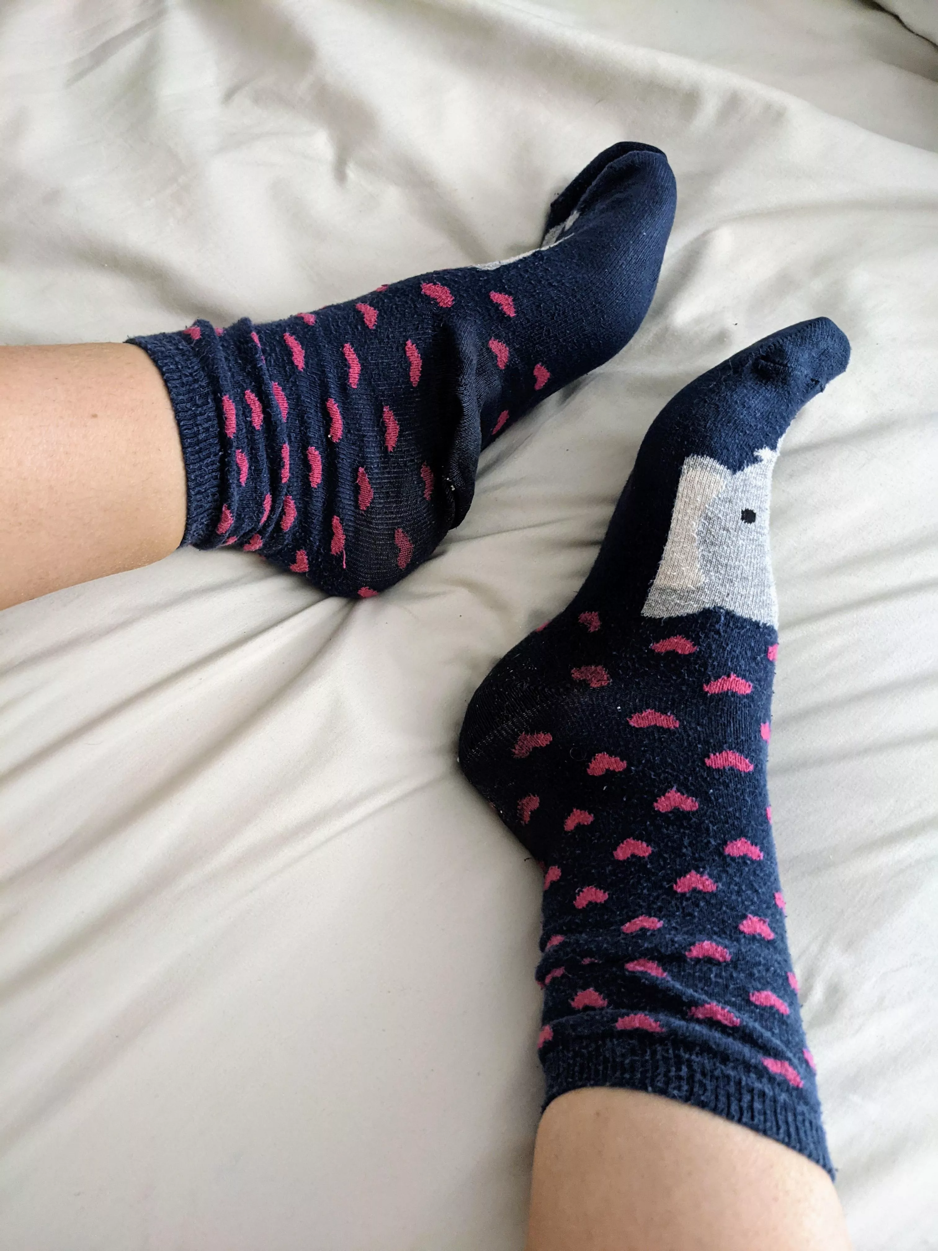 😴💕 Do I keep these on in bed tonight? 😴🧦 [UK] [Female] posted by the-sockslut