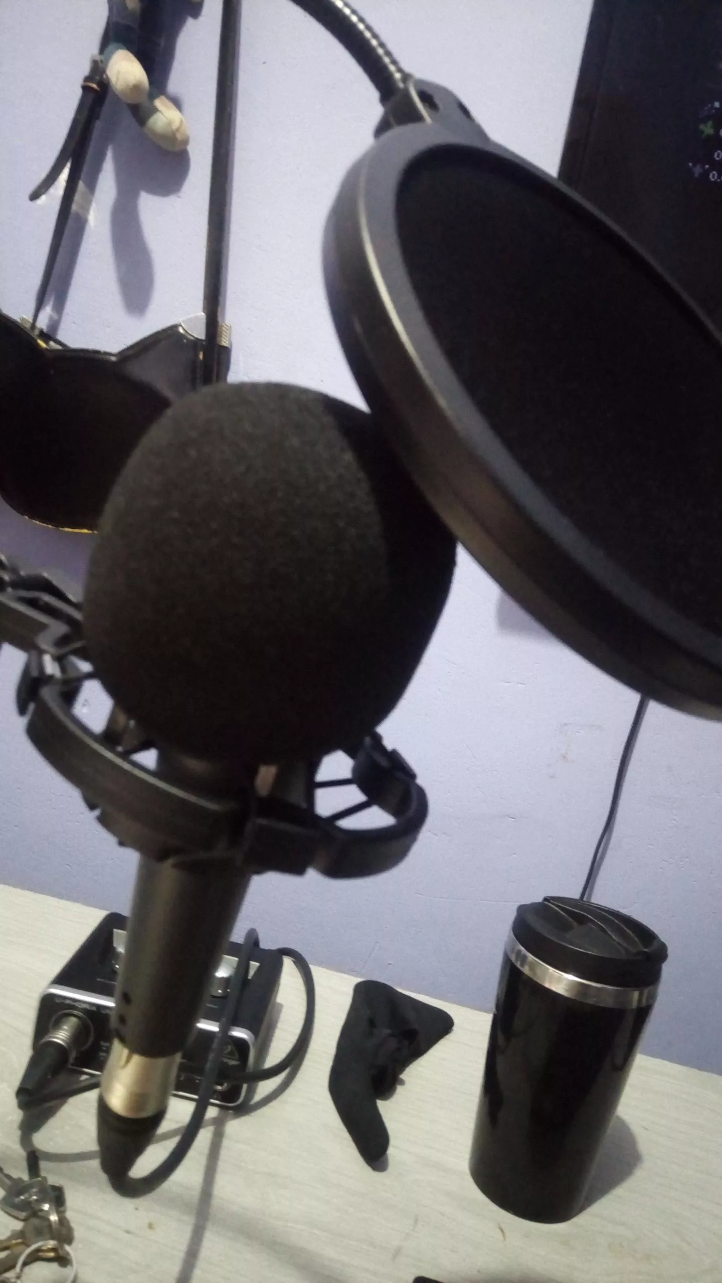 Do I need both of those in my microphone? I mean the windshield and the round thingy. posted by drbuni