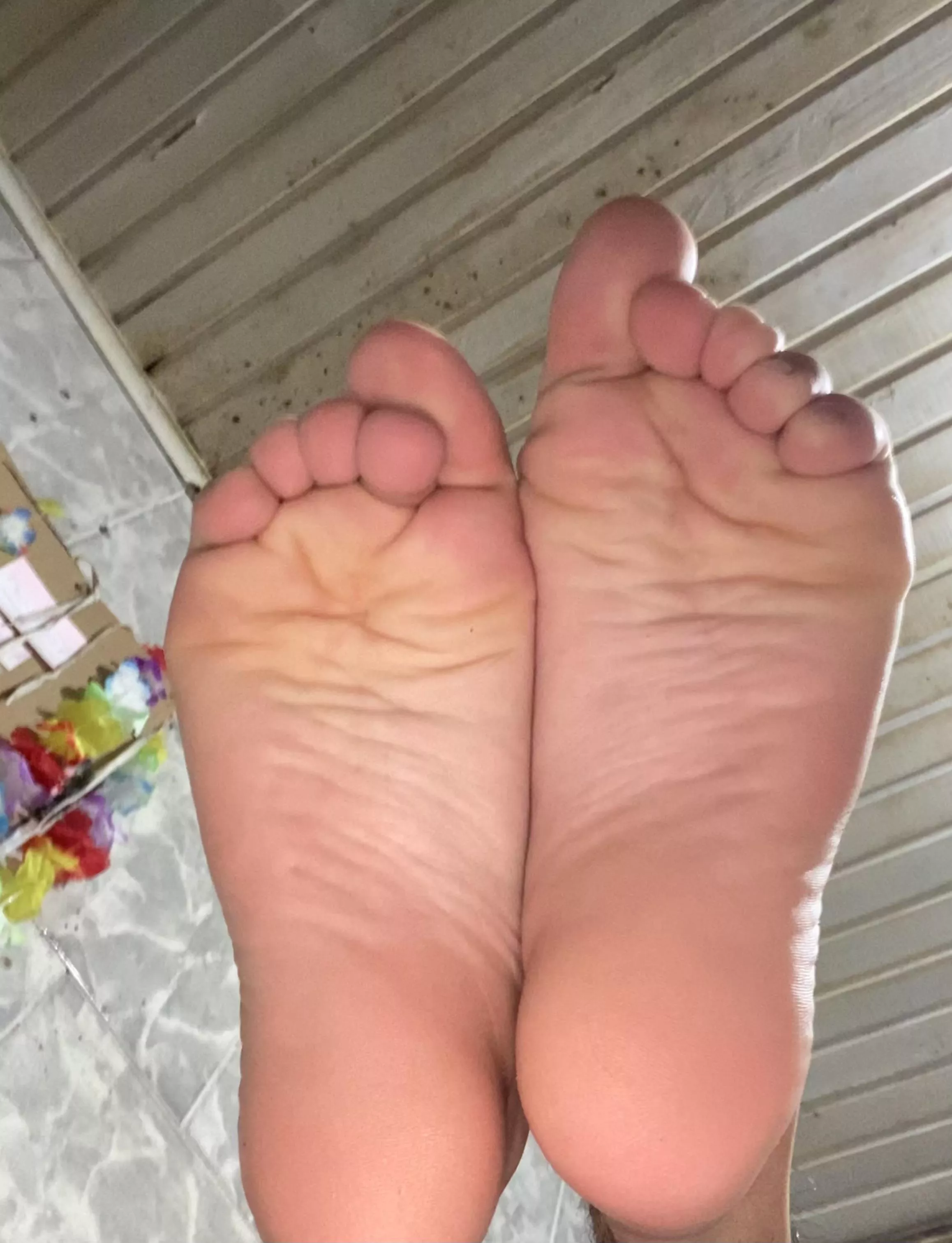 do my feet please u? 🙈 come have some naughty fun 😋 dms open posted by pessbeach