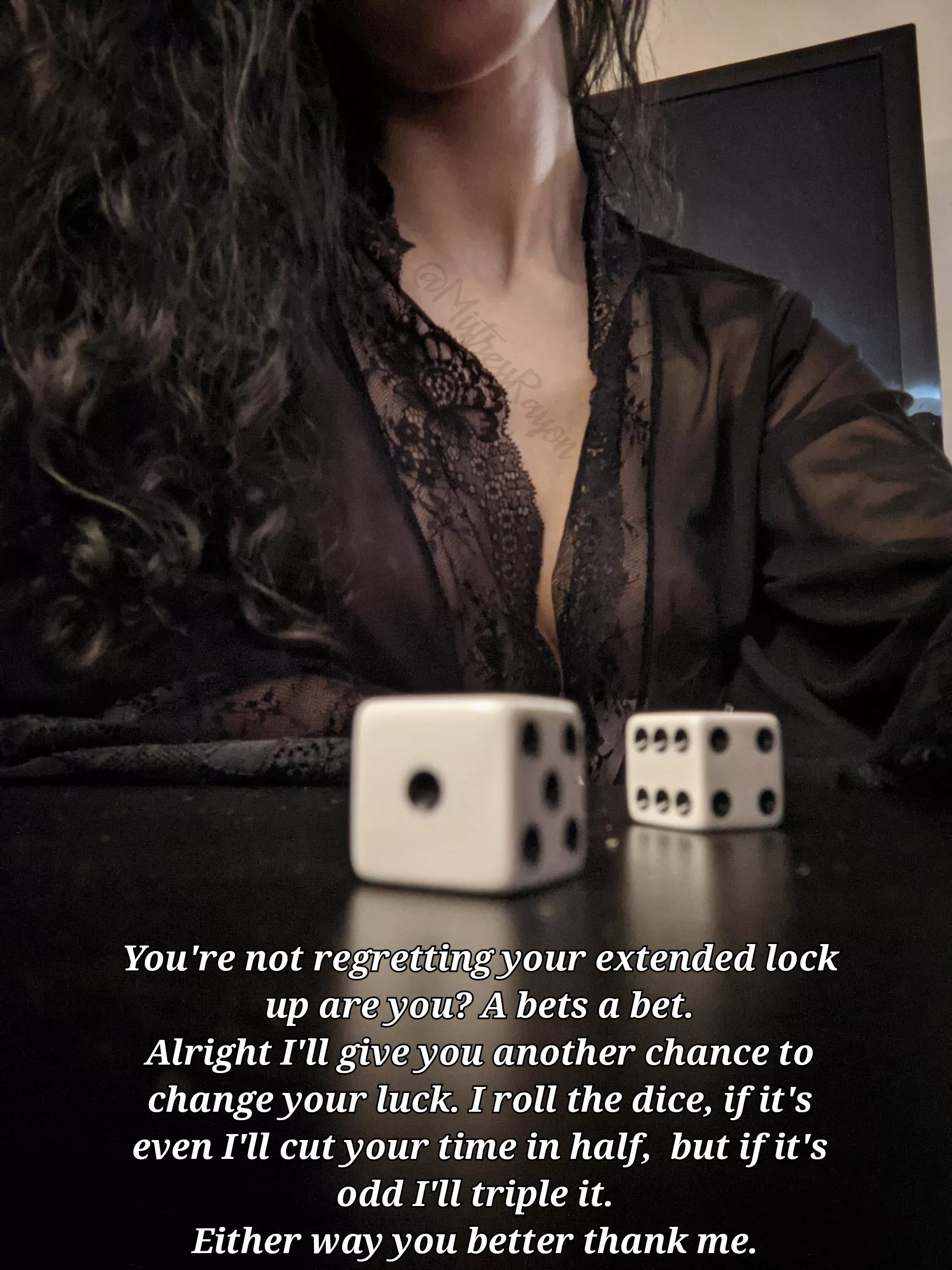 Do my pets want to try their luck? posted by MistressRayon