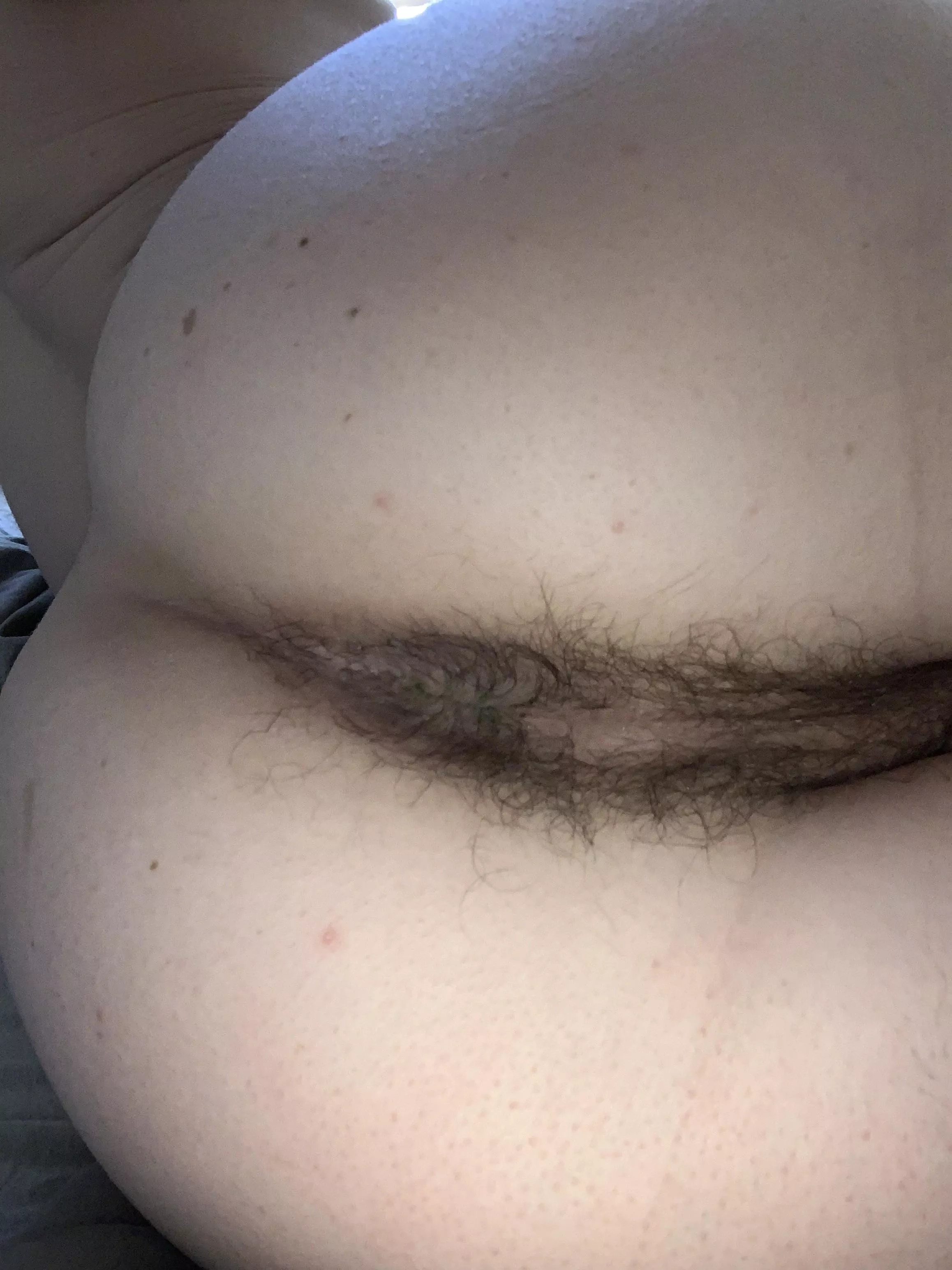 Do people like hairy holes? 🍩 posted by BuschLightAmIRight