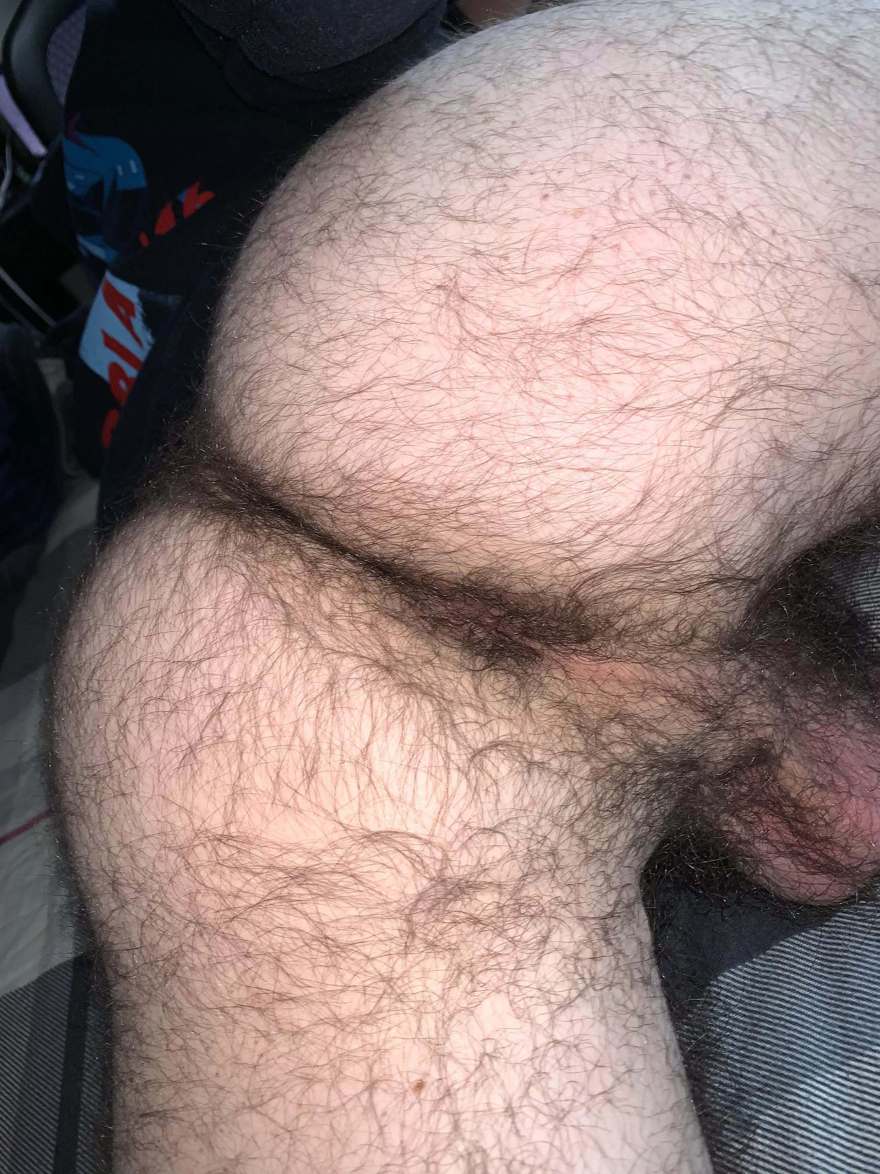 Do the gay bros like hairy ass? posted by _ope_