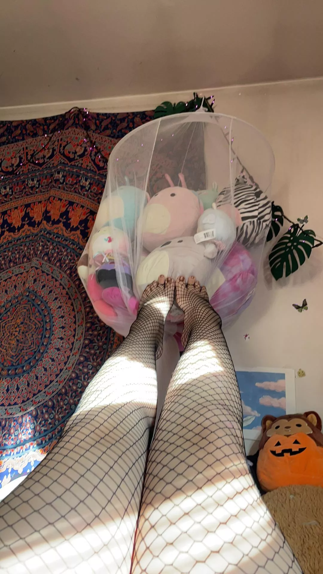 Do u like my feet?ðŸ˜‹ posted by Bunny42018