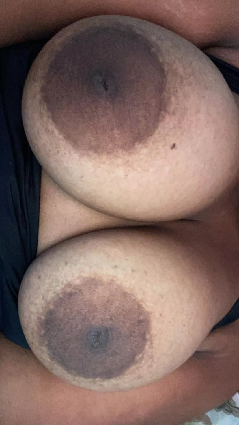 do we like big brown nipples? posted by bigtiddieamaya