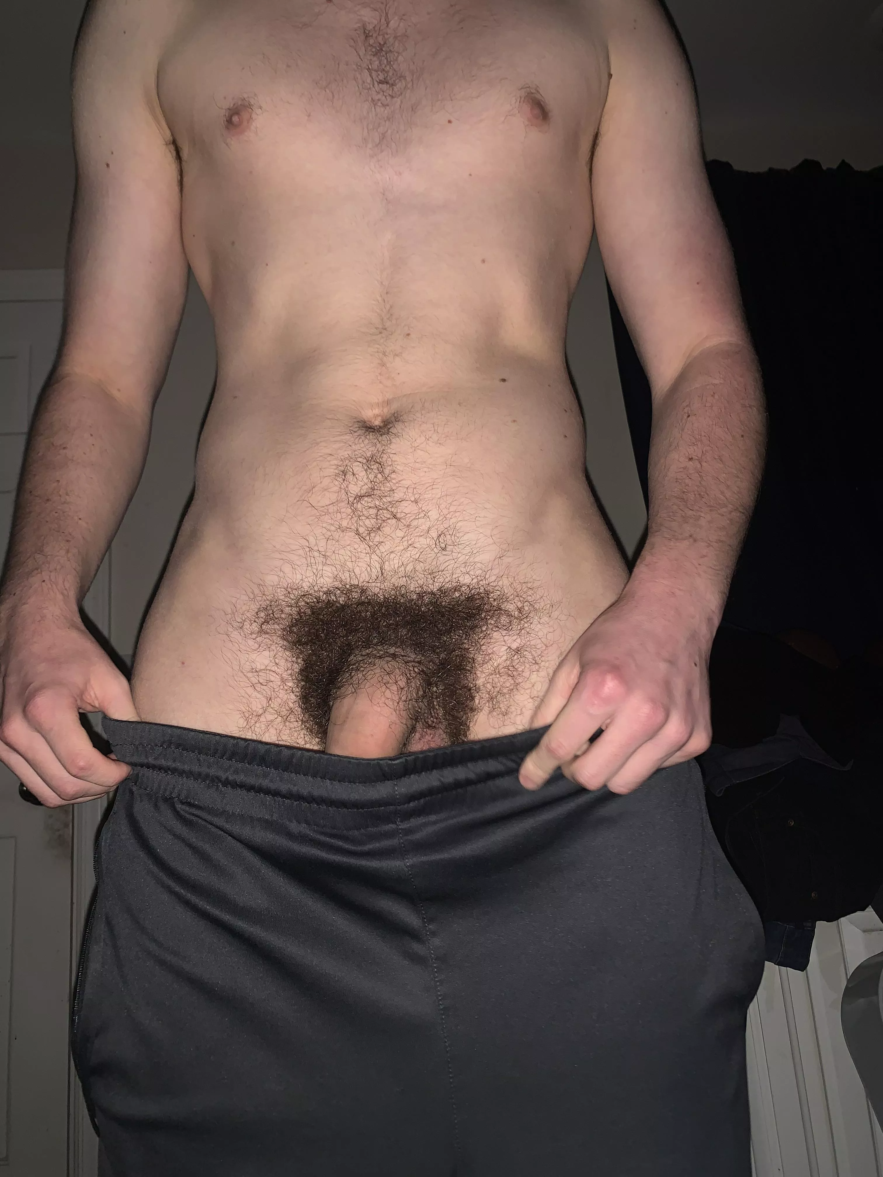 Do you like hairy cock? posted by Short_Oil