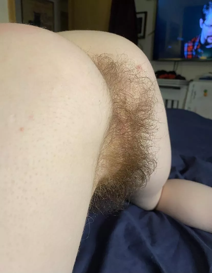 Do you like my body hair? posted by Many-Aioli688