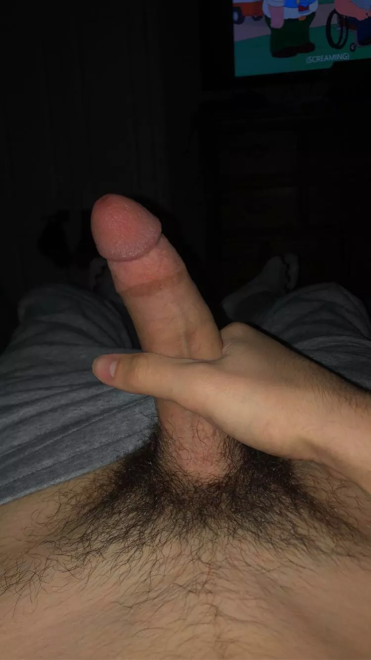 Do you like my Canadian pubes? posted by sadboycad