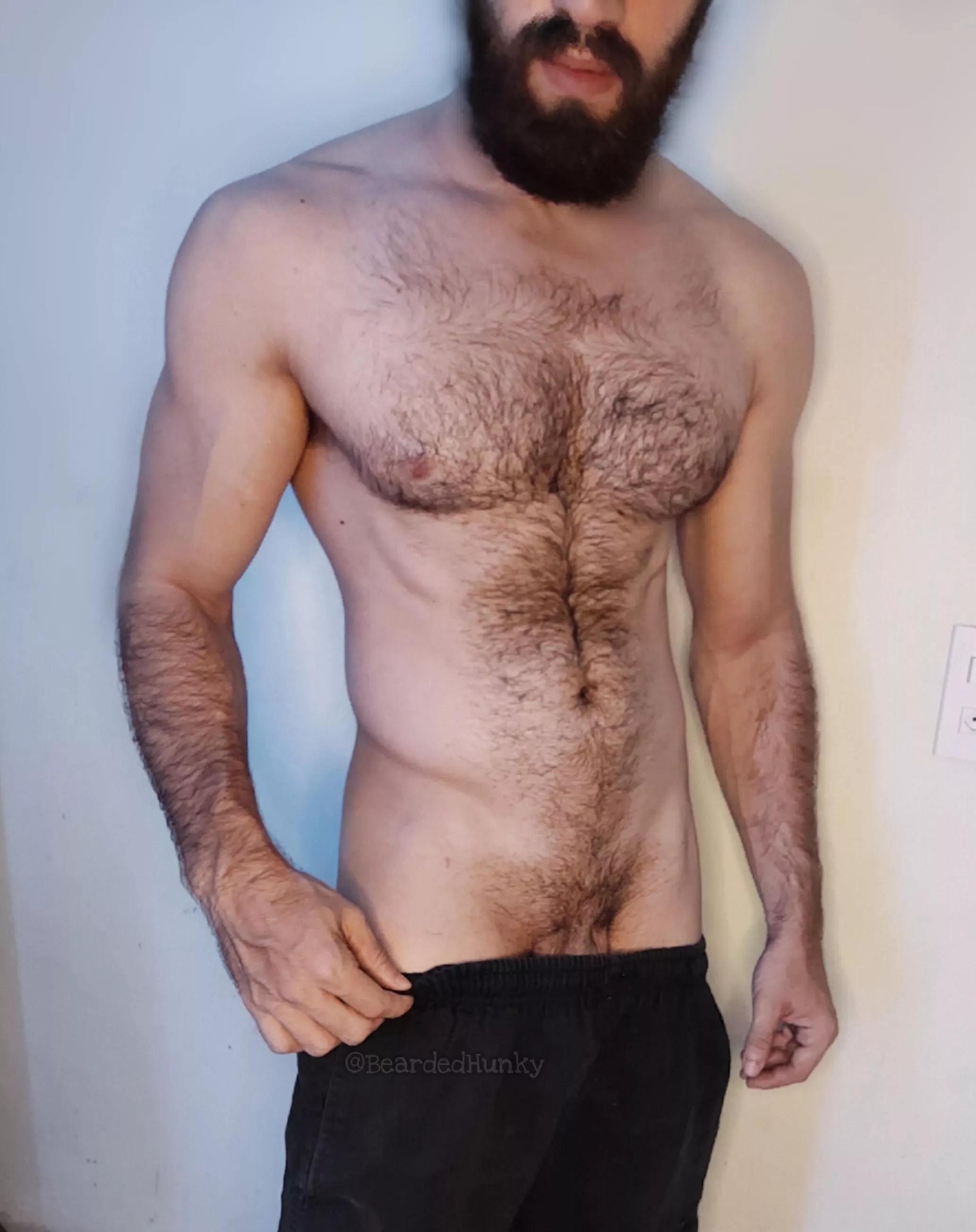 Do you like my chest hair? posted by Bearded_Hunky