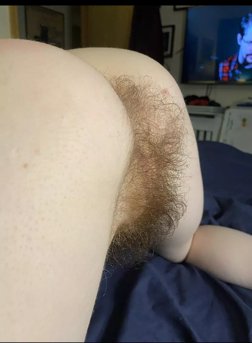 Do you like my hairy ass? posted by Many-Aioli688