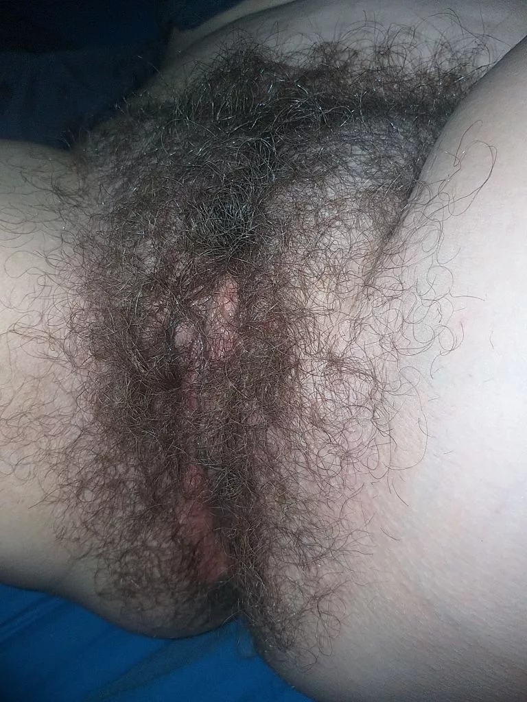 Do you like my wife's hairy pussy? posted by tritech11