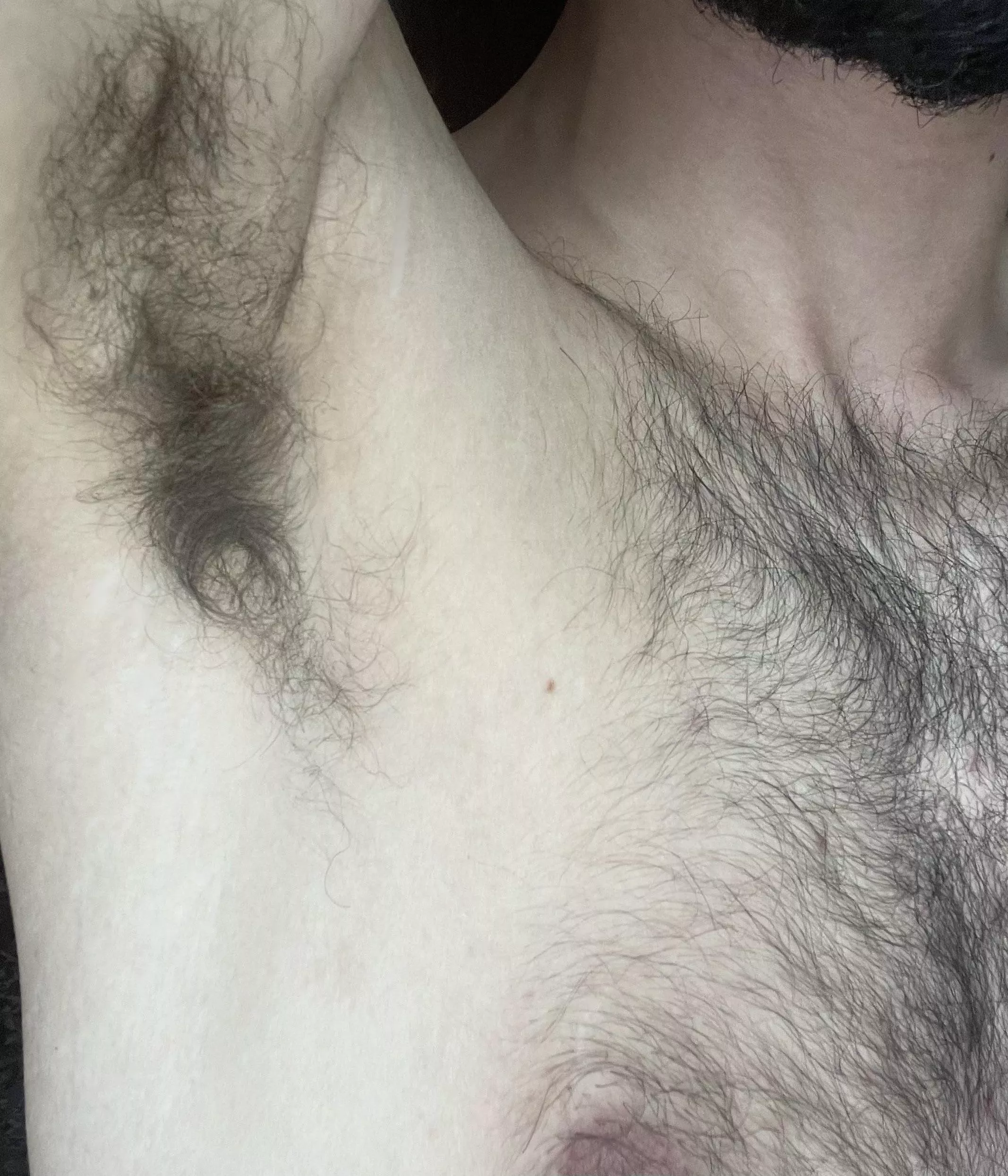 Do you like this body hair? posted by Ecstatic-Switch