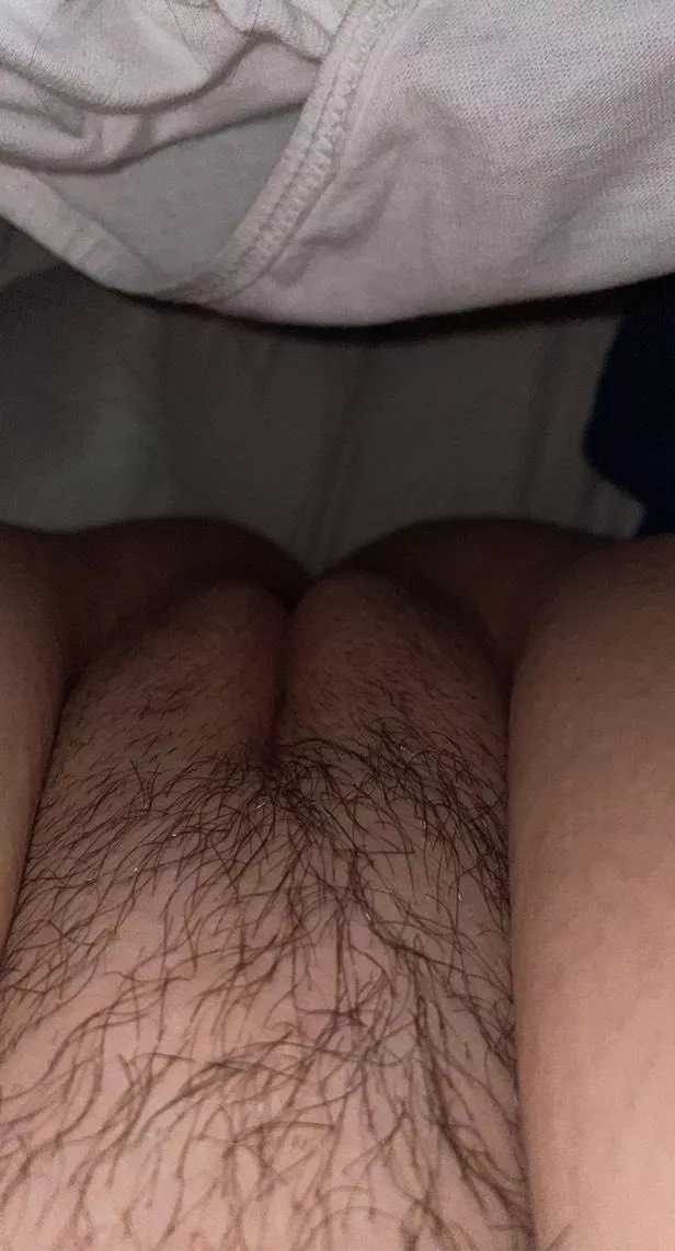 do you like your women hairy? posted by catsbody