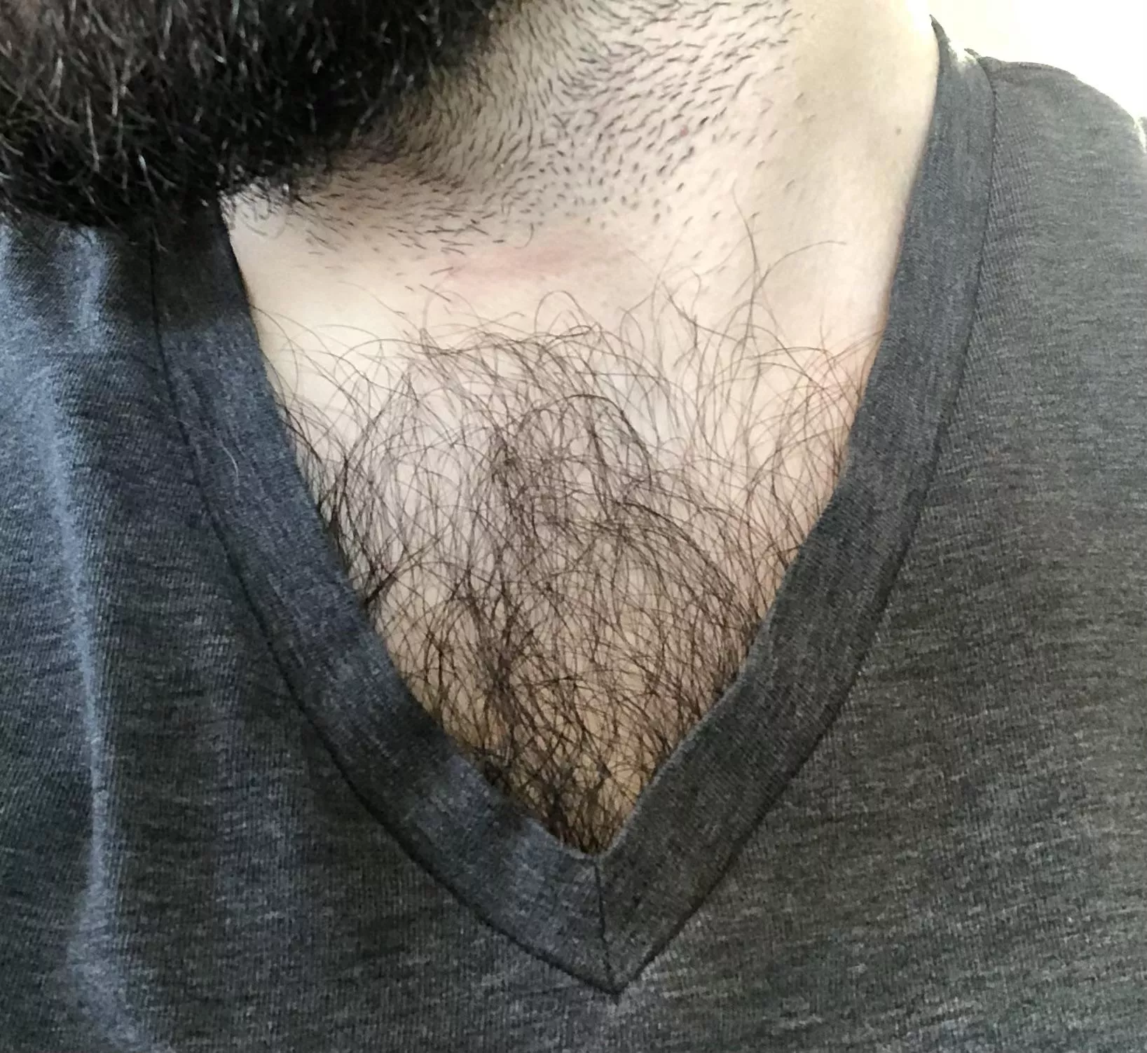 Do you mind if my V neck shows this much chest hair while we’re hanging out? posted by Dracuvula