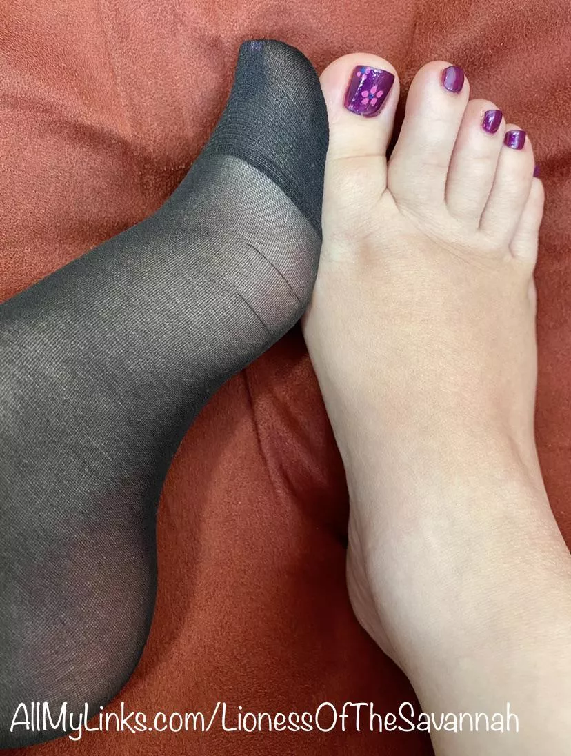 Do you prefer my Nylon socks or my Fresh Pedi?! 😋 posted by Savannahs_Feet