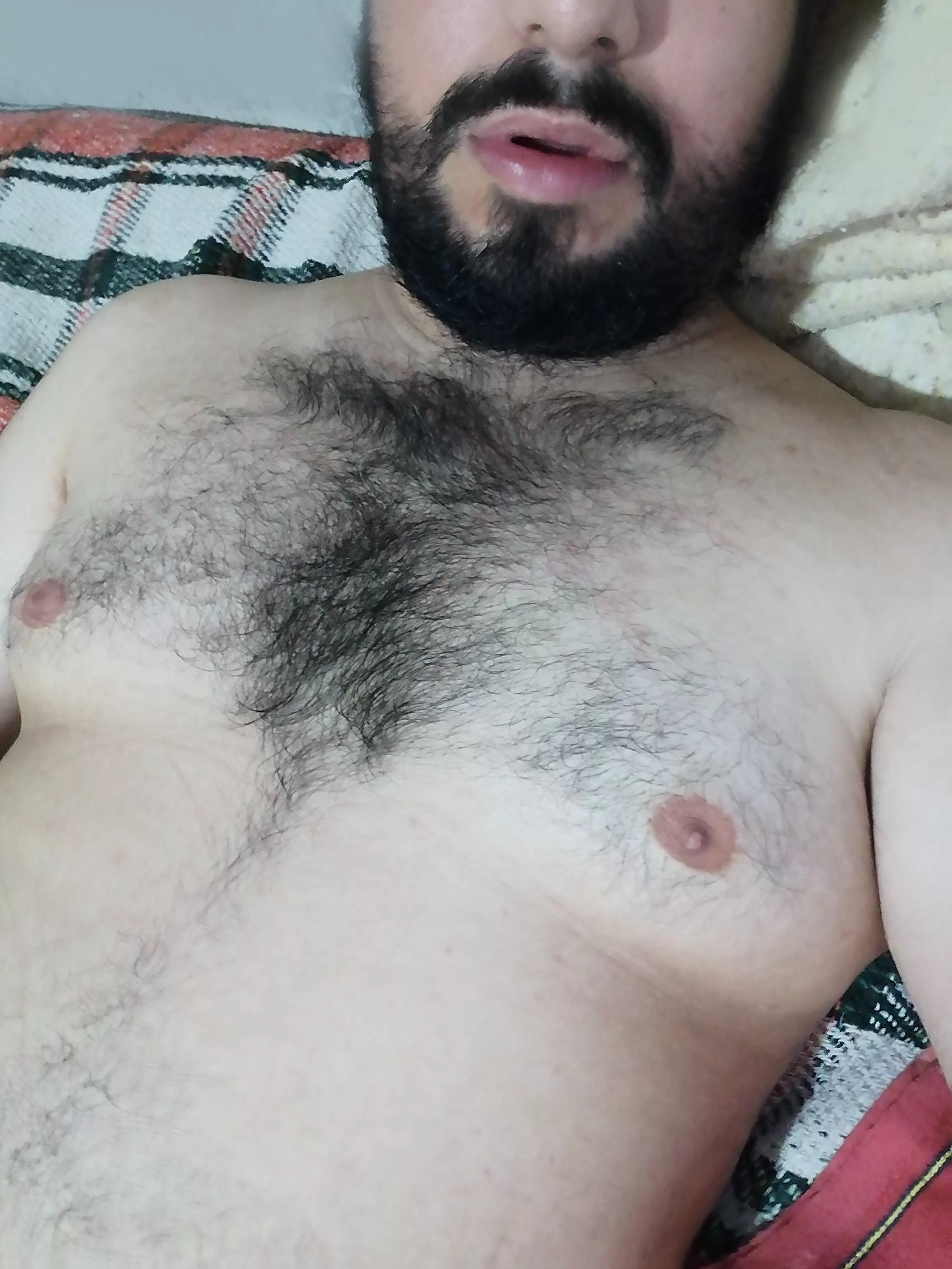 🐻 Do you wanna suck my nipples till cum? 😍 posted by Straygeekwoof