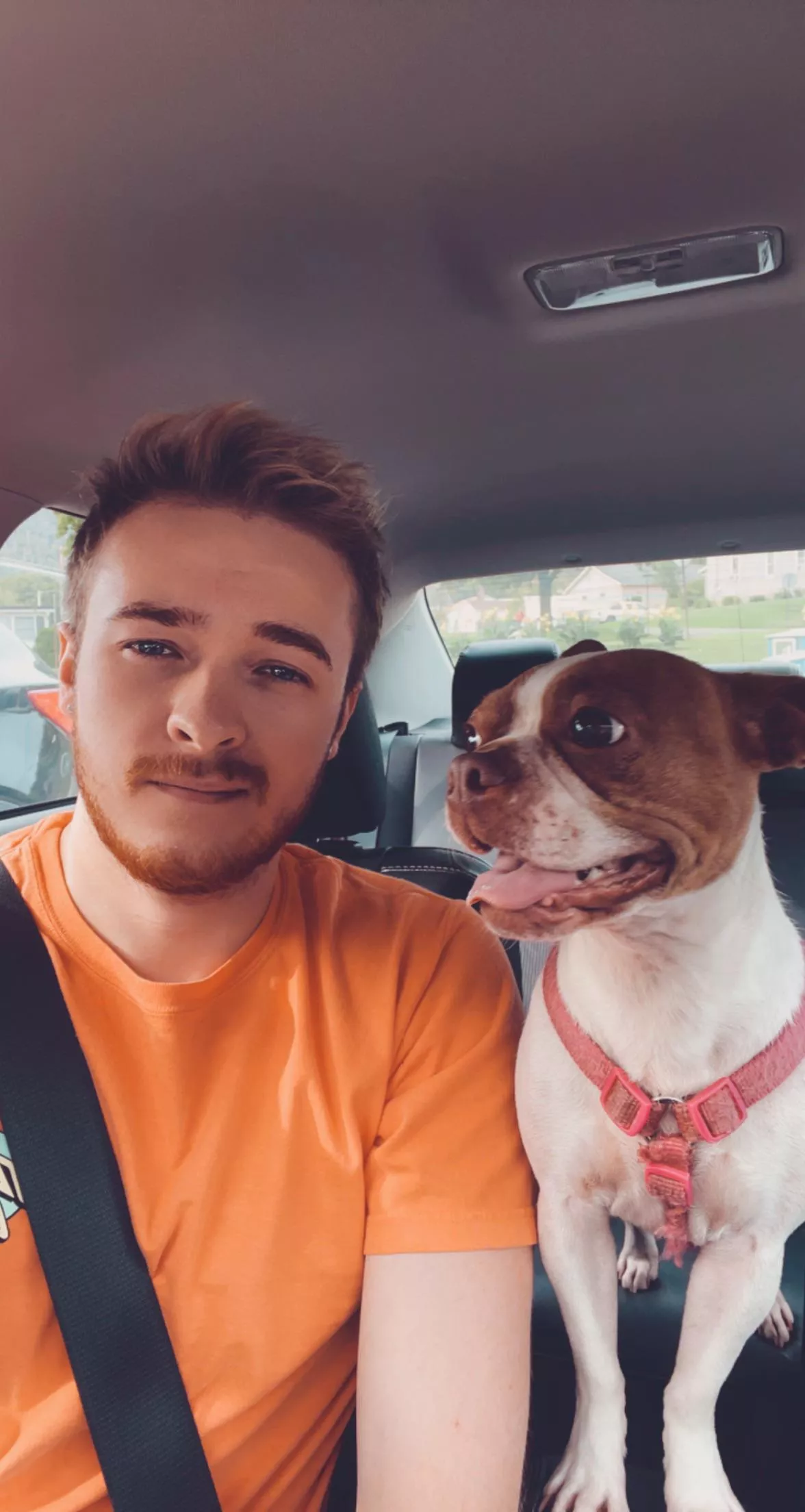 Doesnâ€™t matter where Iâ€™m going, she wants to come along for the ride ðŸ¥° posted by nick149311