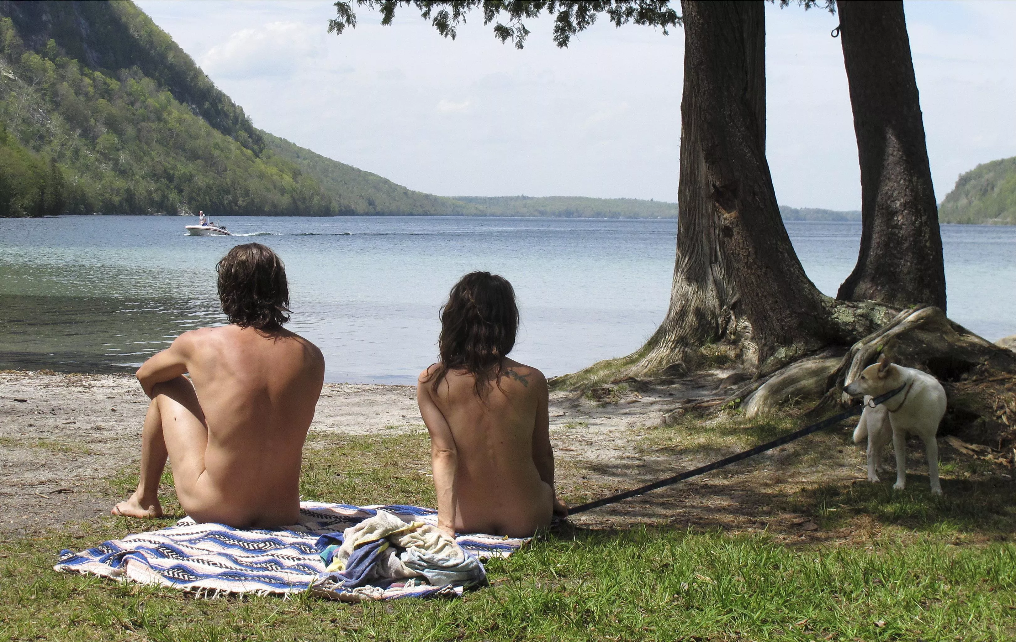 Dog walkers posted by NaturistPictures