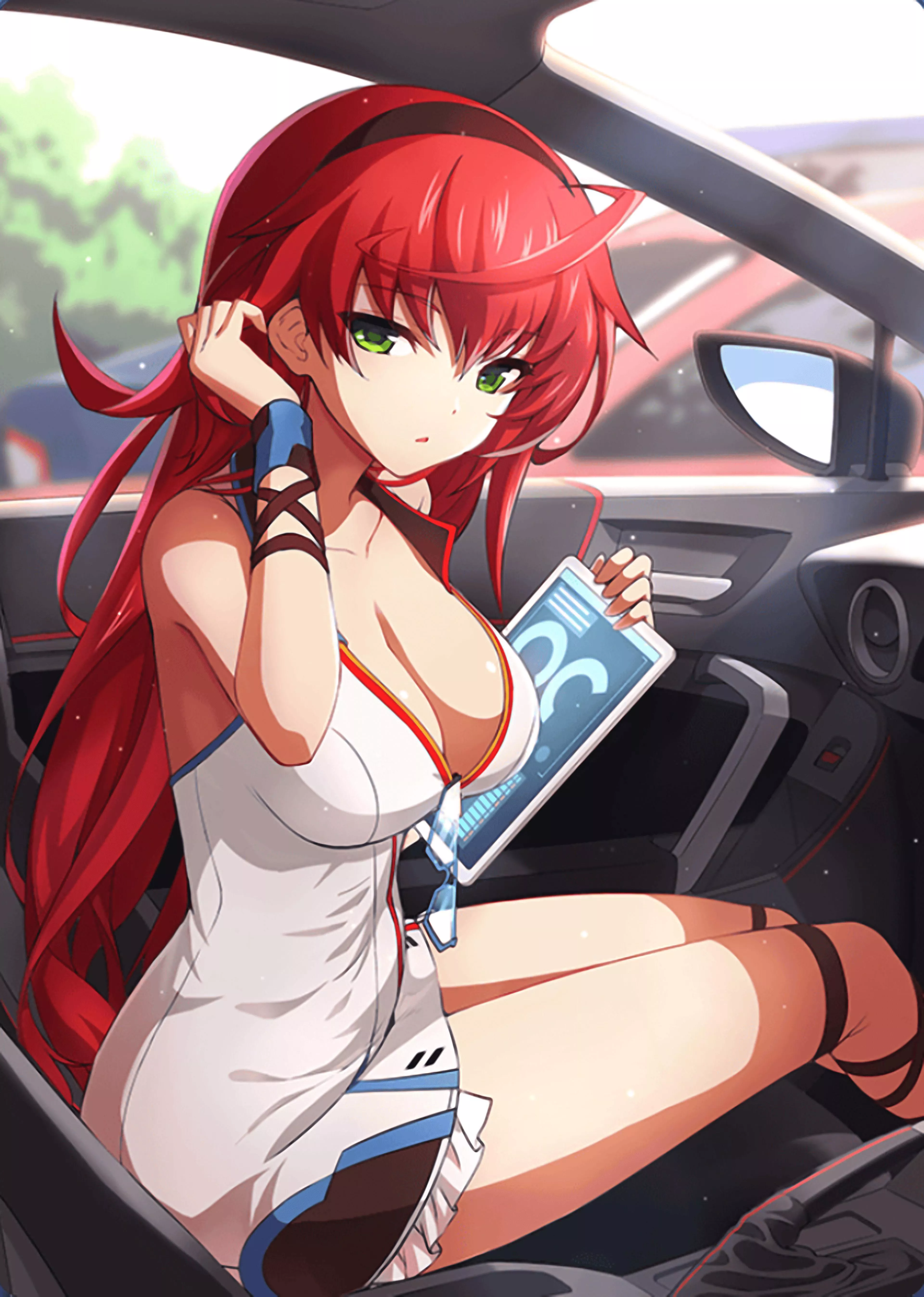 Driving lessons with Velvet Hell (infinite stratos) posted by Southern-Range7363