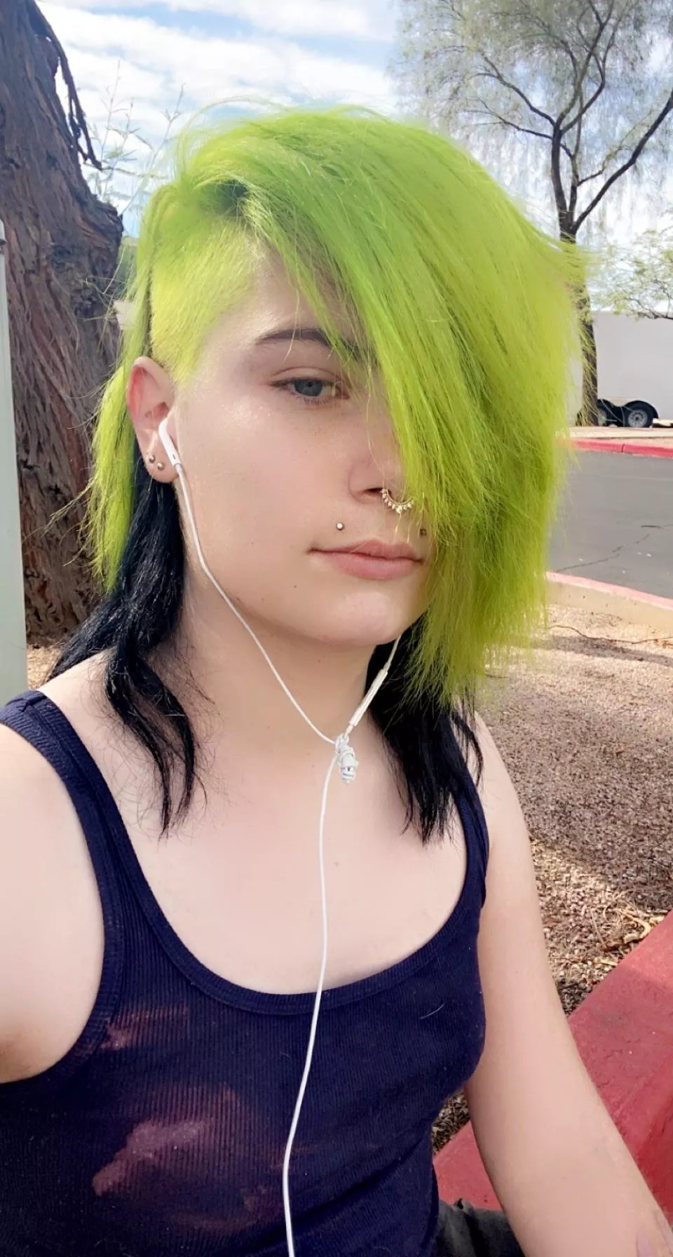 Dyed my hair and love the look posted by deezducks1