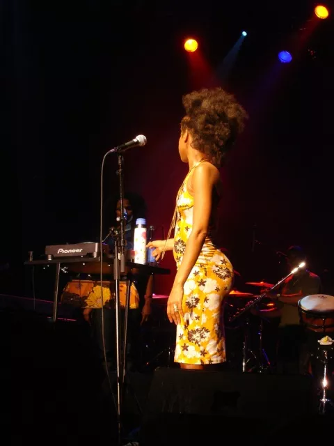 Erykah Badu Phatty posted by sosafiredragon2