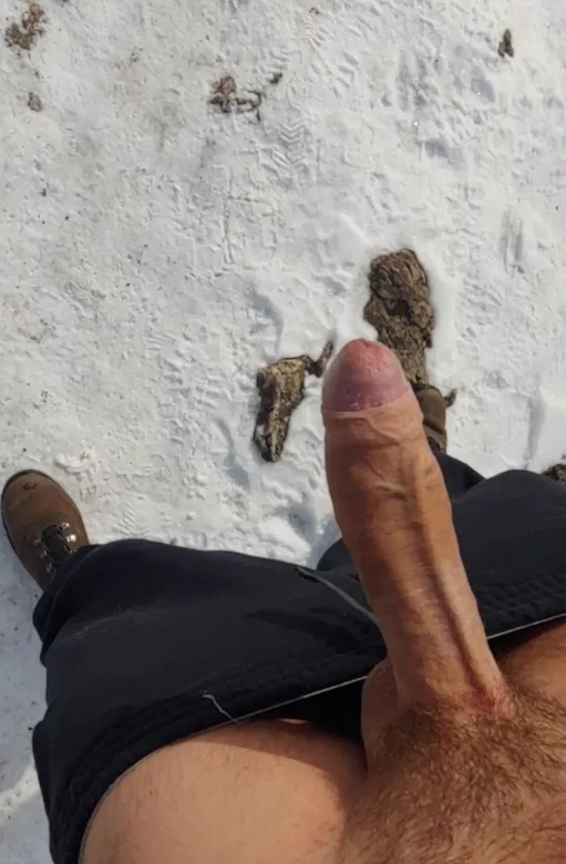 Exposing my uncut Canadian cock on a public trail 🇨🇦🐓 posted by thehungone12