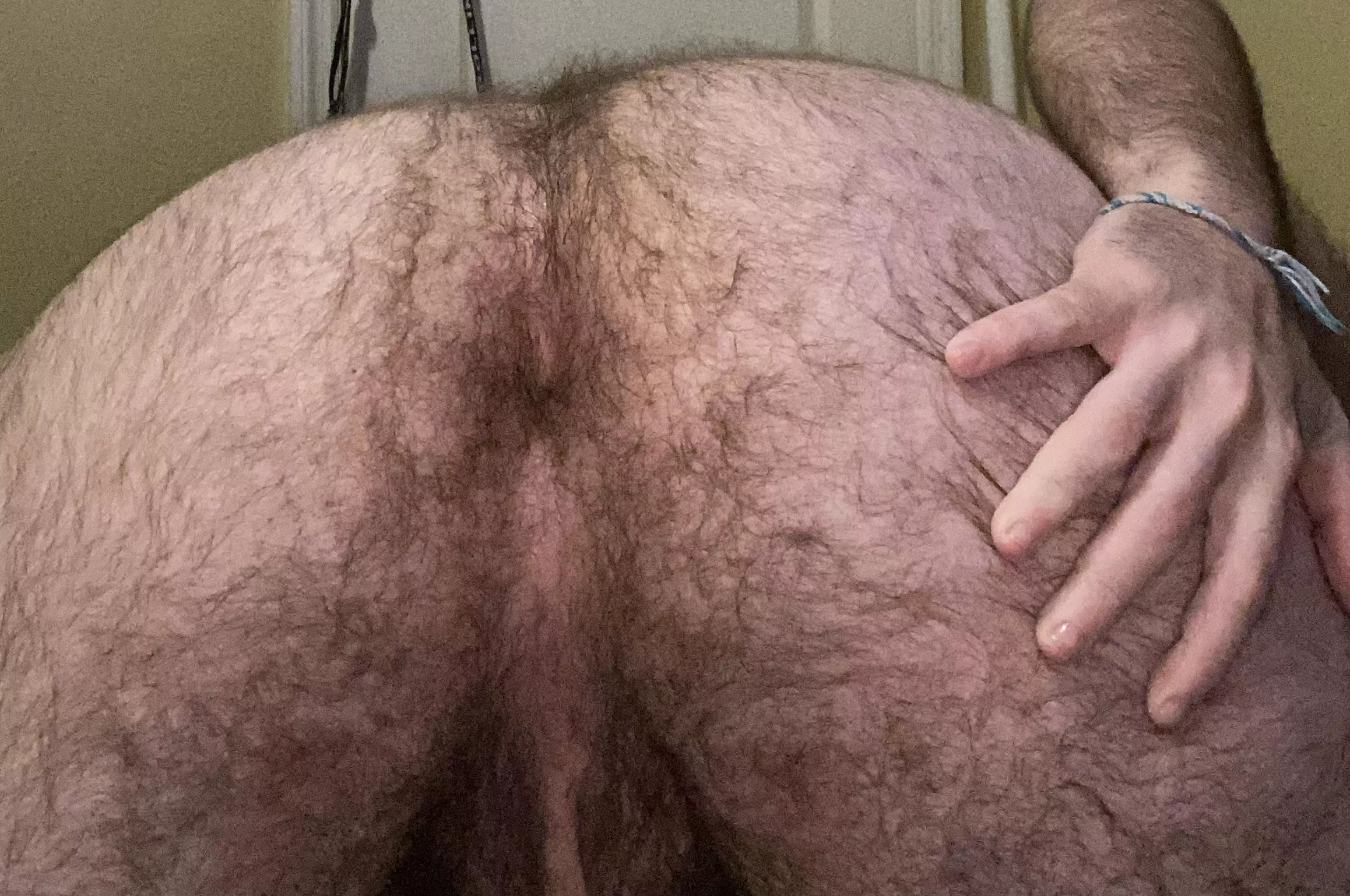 Extra fuzz posted by hairybottomboy