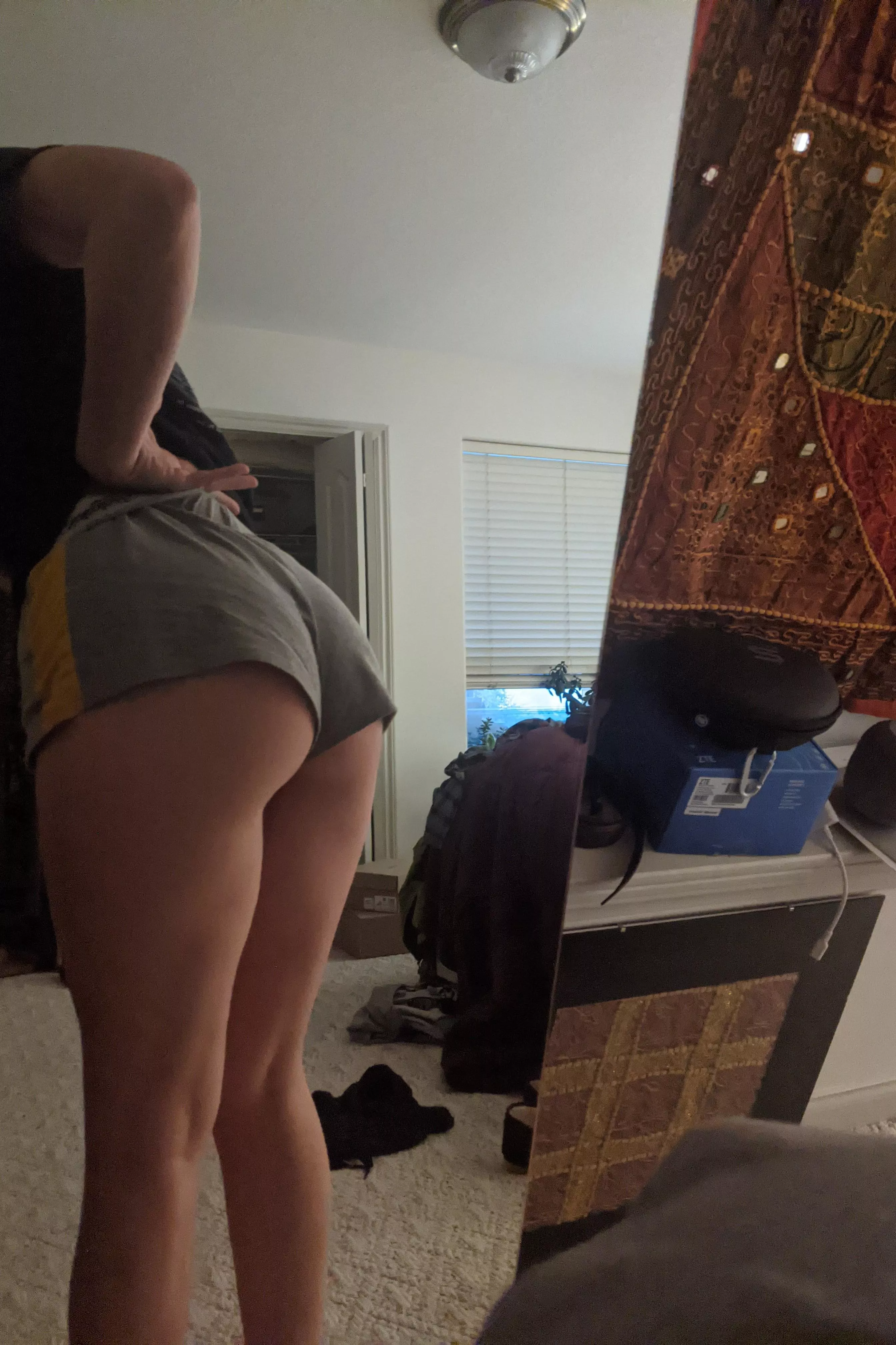 (f) bringing it back posted by treedhuman