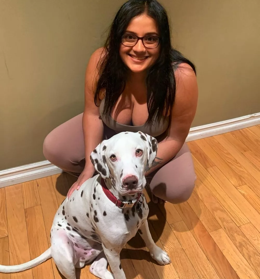 [F] my friend has a Dalmatian! posted by Desi_cutie95081