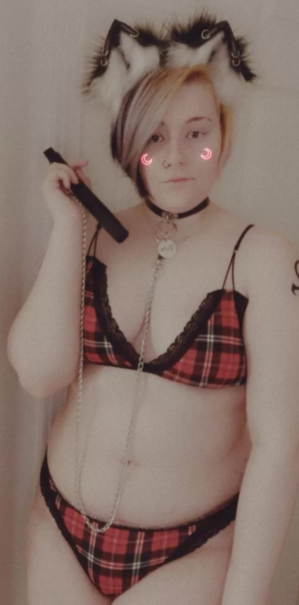 (F19) leashed kitten! ⛓🐾 posted by rainbowstorm130