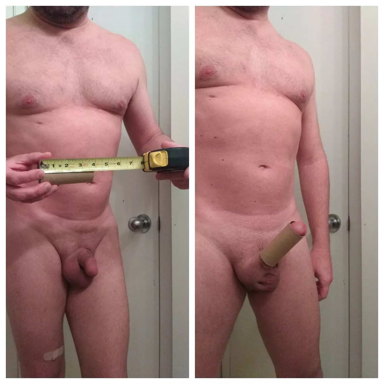 Failing the TP roll challenge is always fun. This roll is 3.75 inches long. Looking for honest comments. posted by barefootnaturist