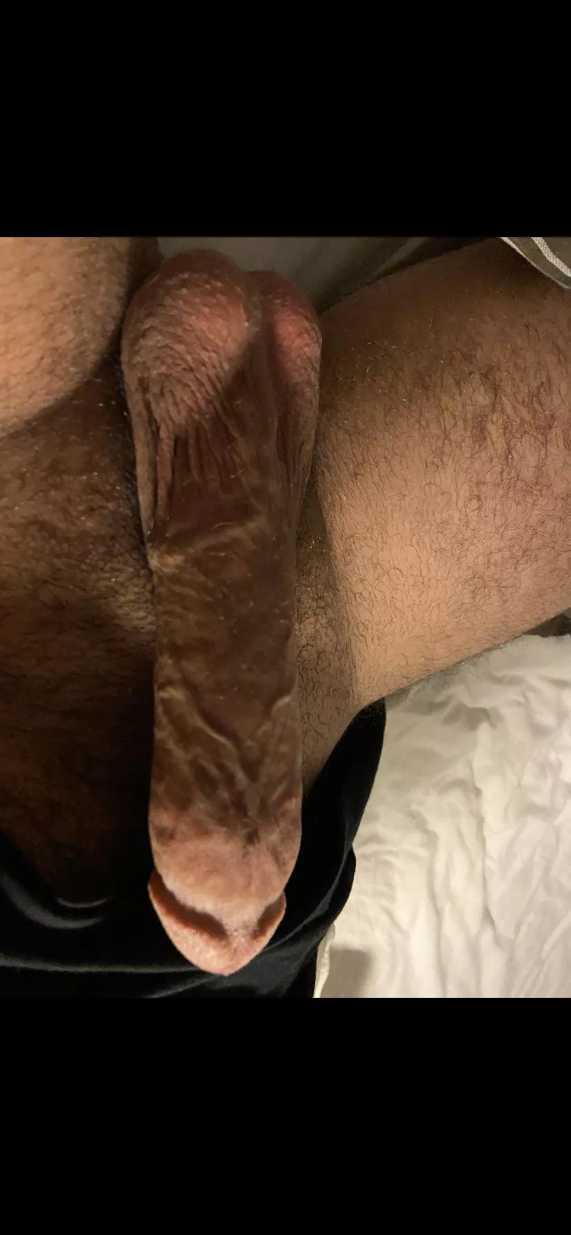 Fat thanksgiving cock here (m) posted by ReasonablePath3769